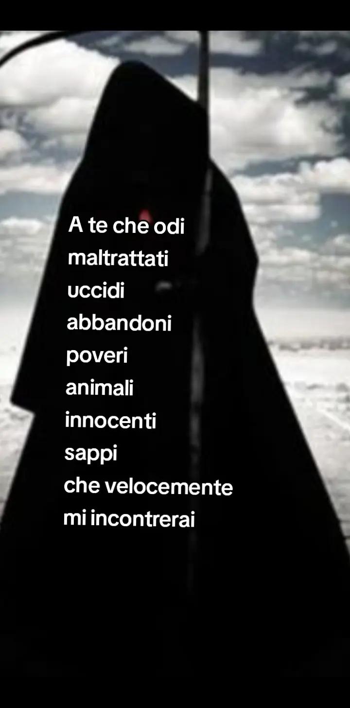 @rosy