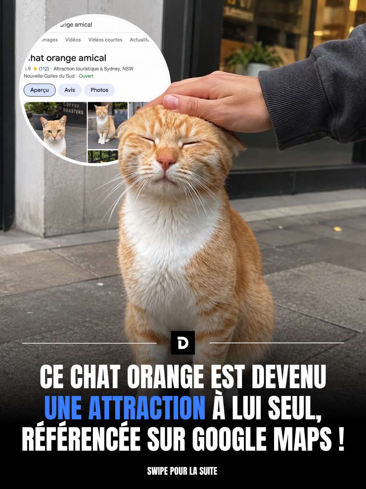 @Demotivateur