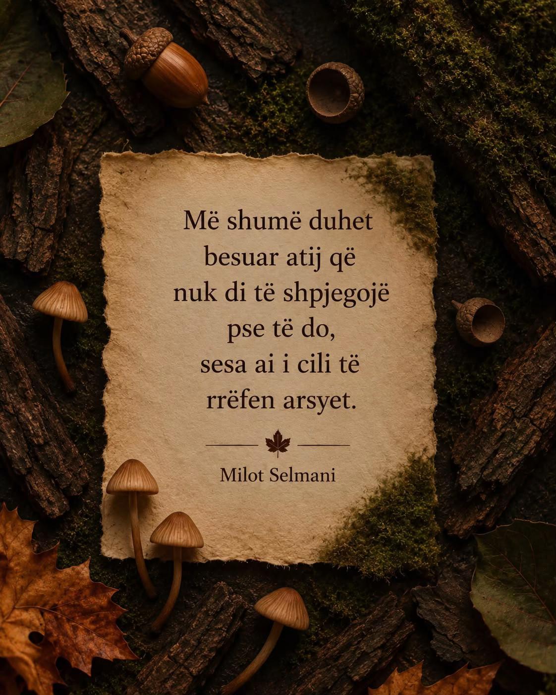 @milotselmani