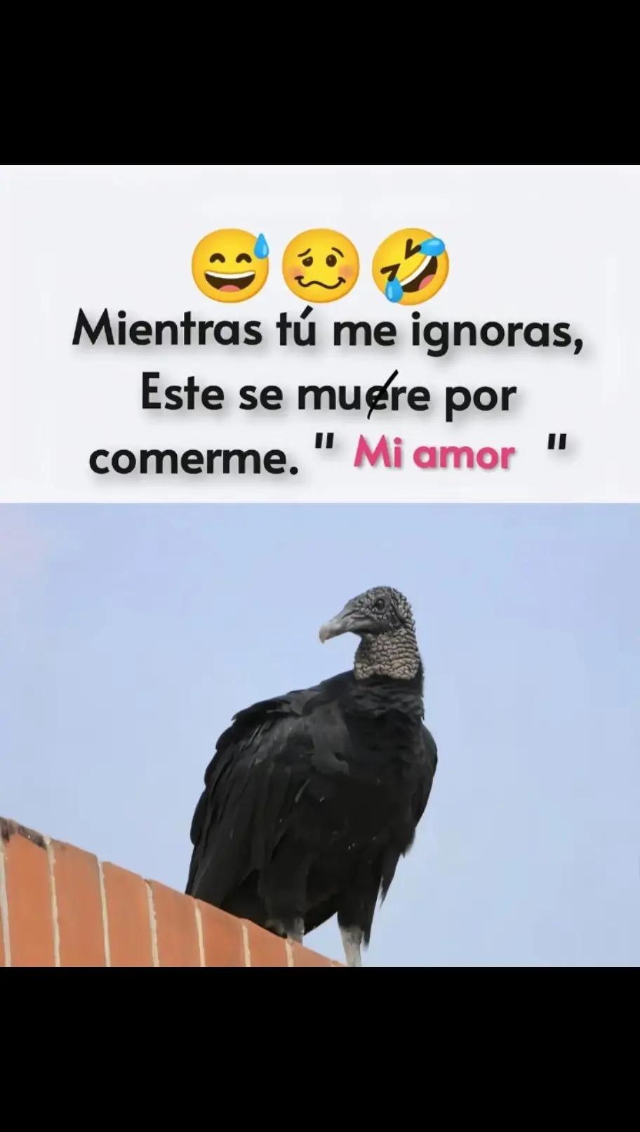 @Rosita Muñoz