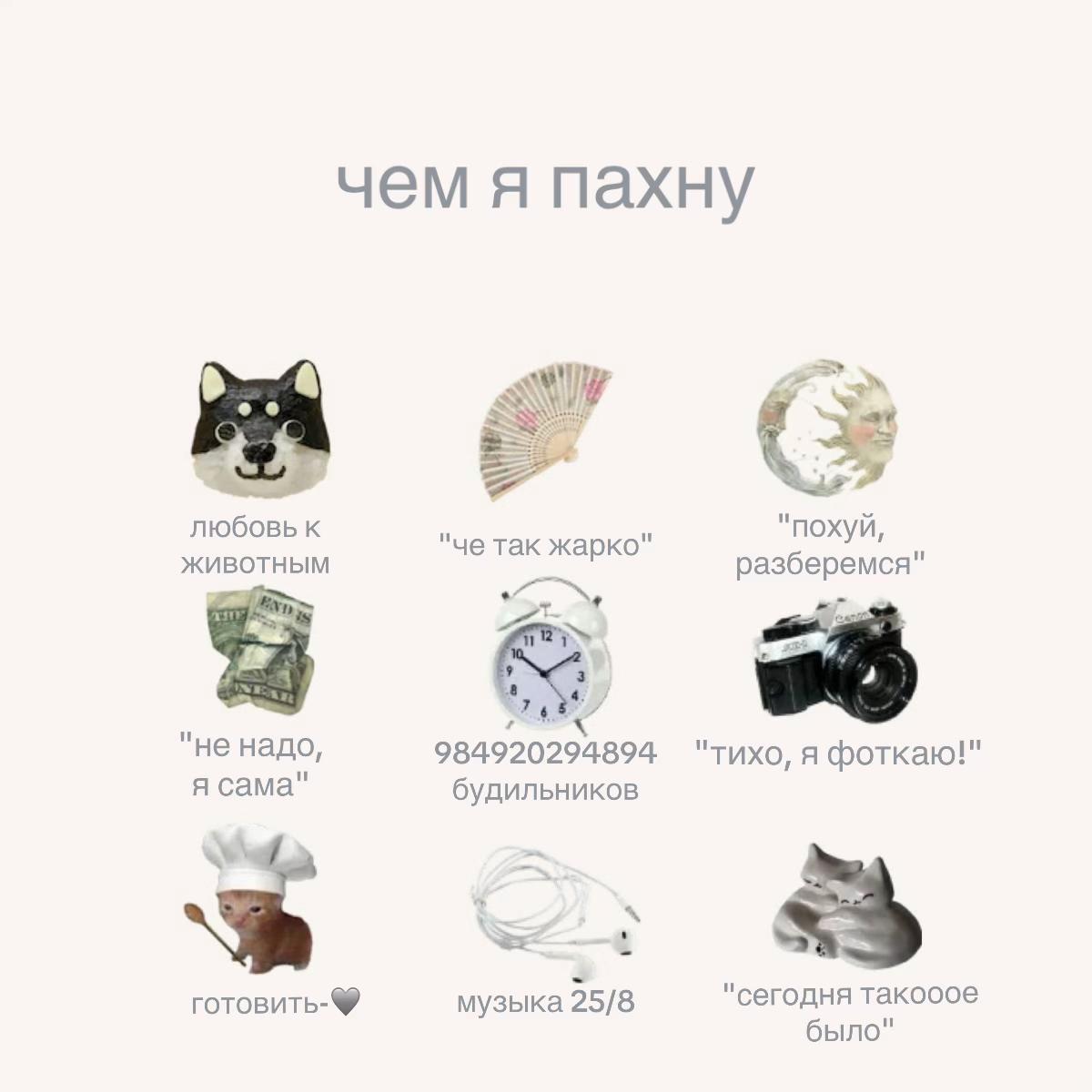 @katze🙈