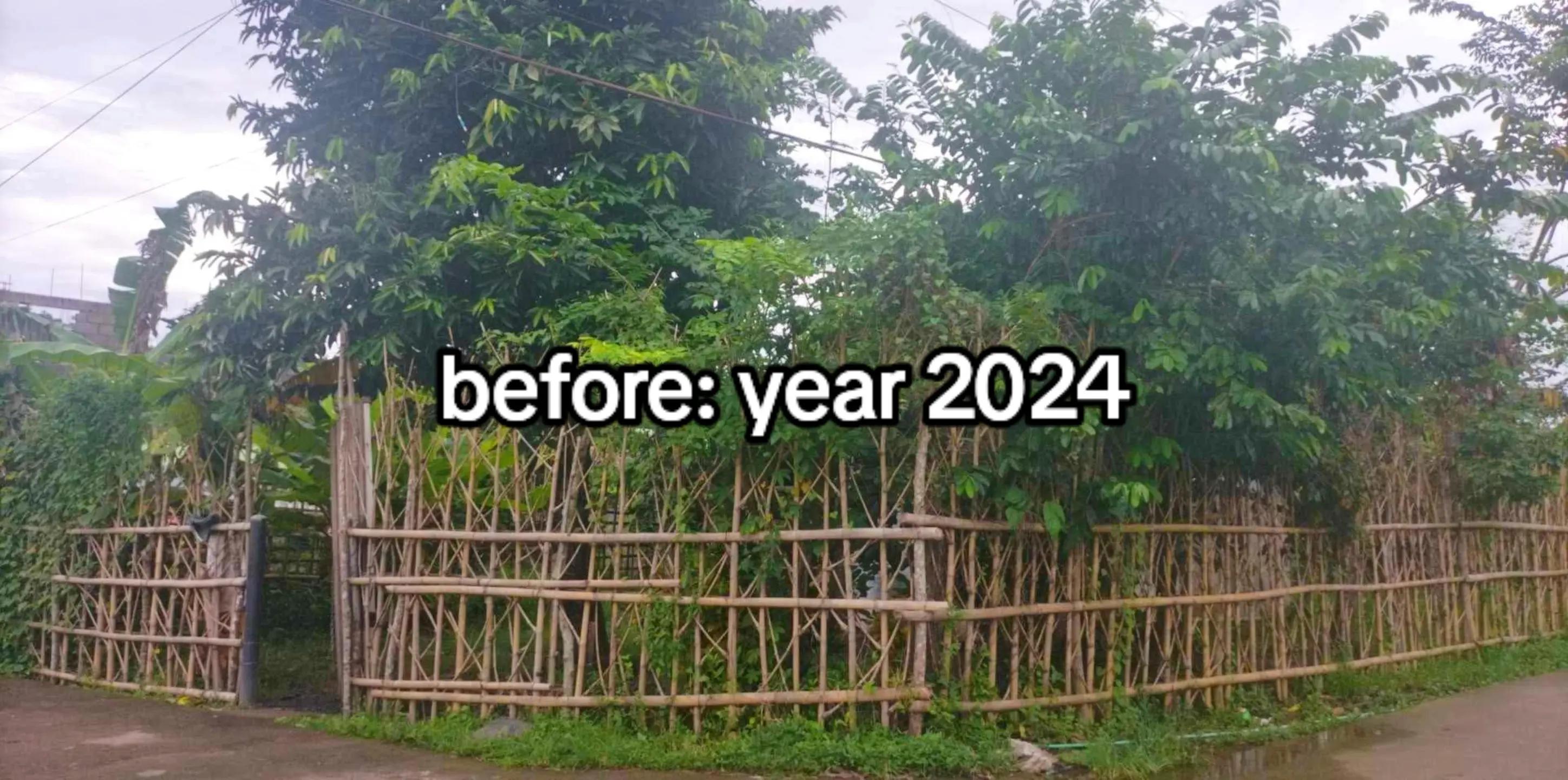 @◦•◉✿𝓖𝓲𝓰𝓲 𝓝𝓲𝓬𝓸𝓵 ✿◉•◦