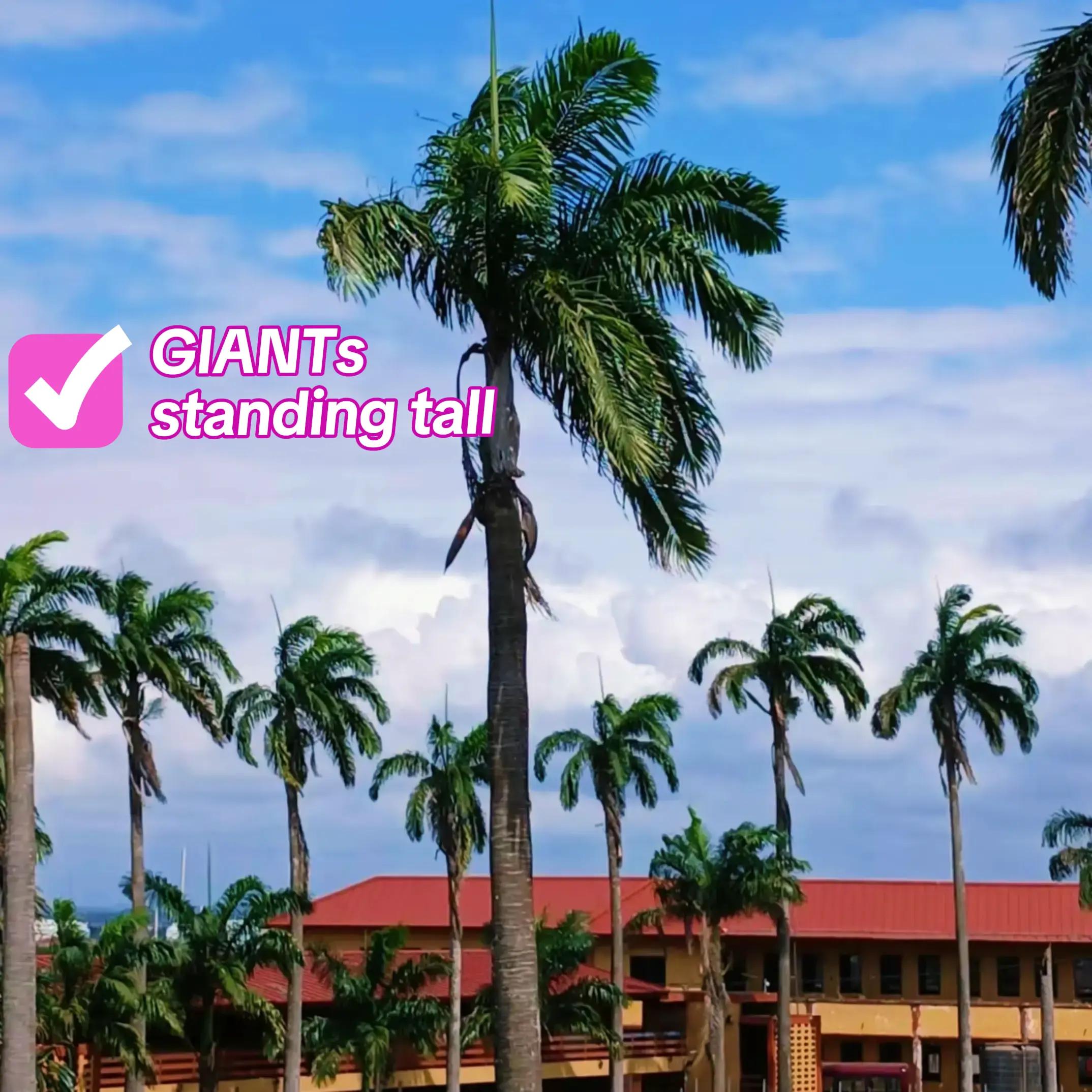 @GSTS GHANA SEC TECH SCHOOL