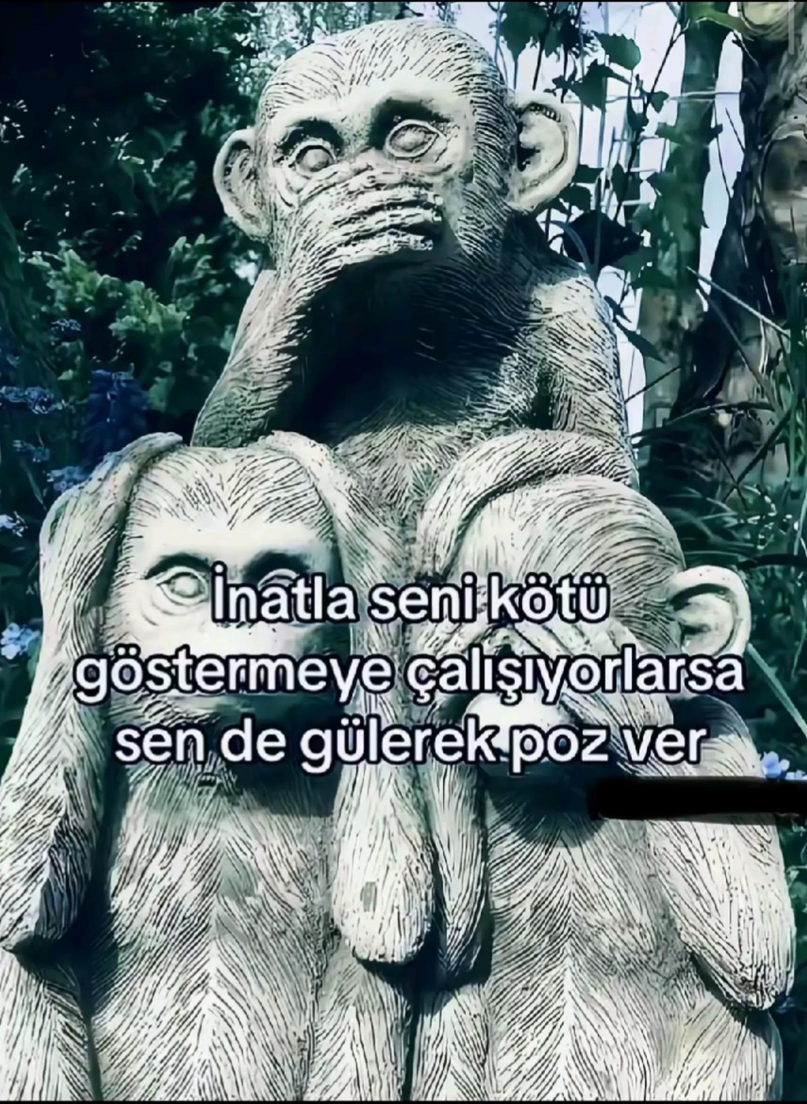 @👉$ÇAMLI_TARIM$👈