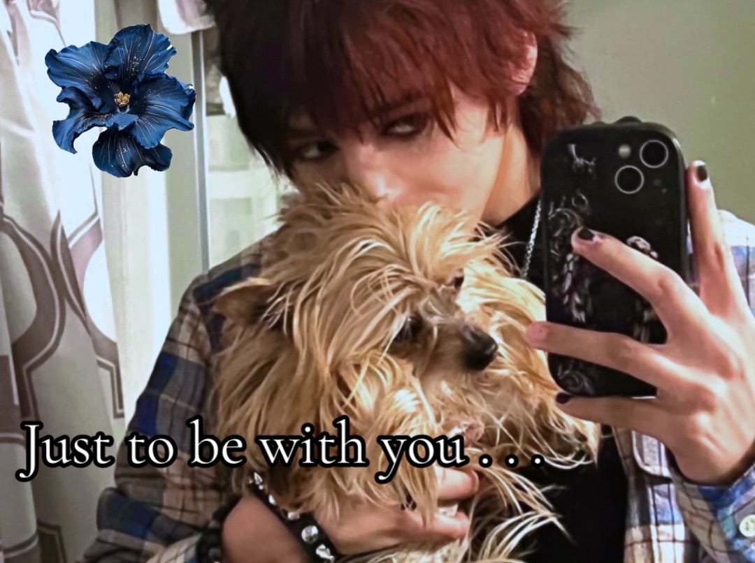 @Angelx ๐ต๐ท