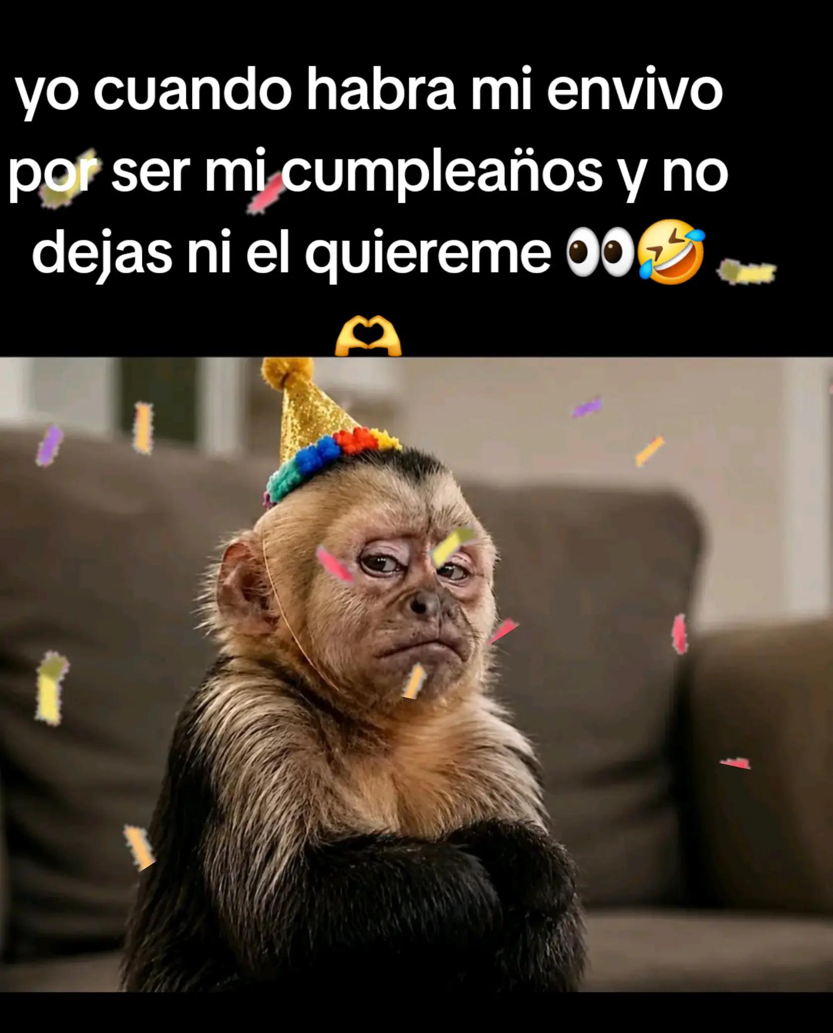 @🦁🌷💘🐊osiris "osi"🦋🧁🐬🎶🌅