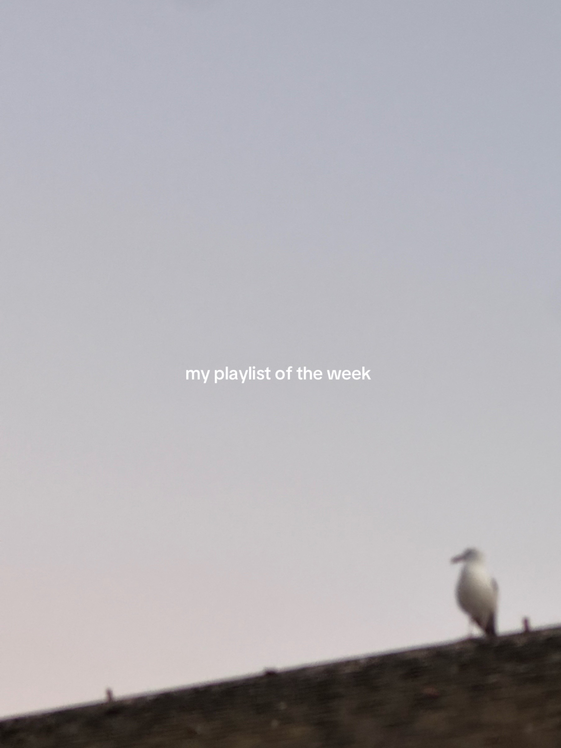 @madly, june