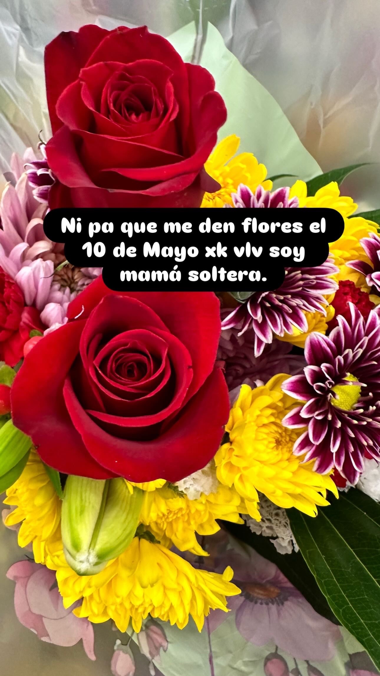 @️Angie Cast
