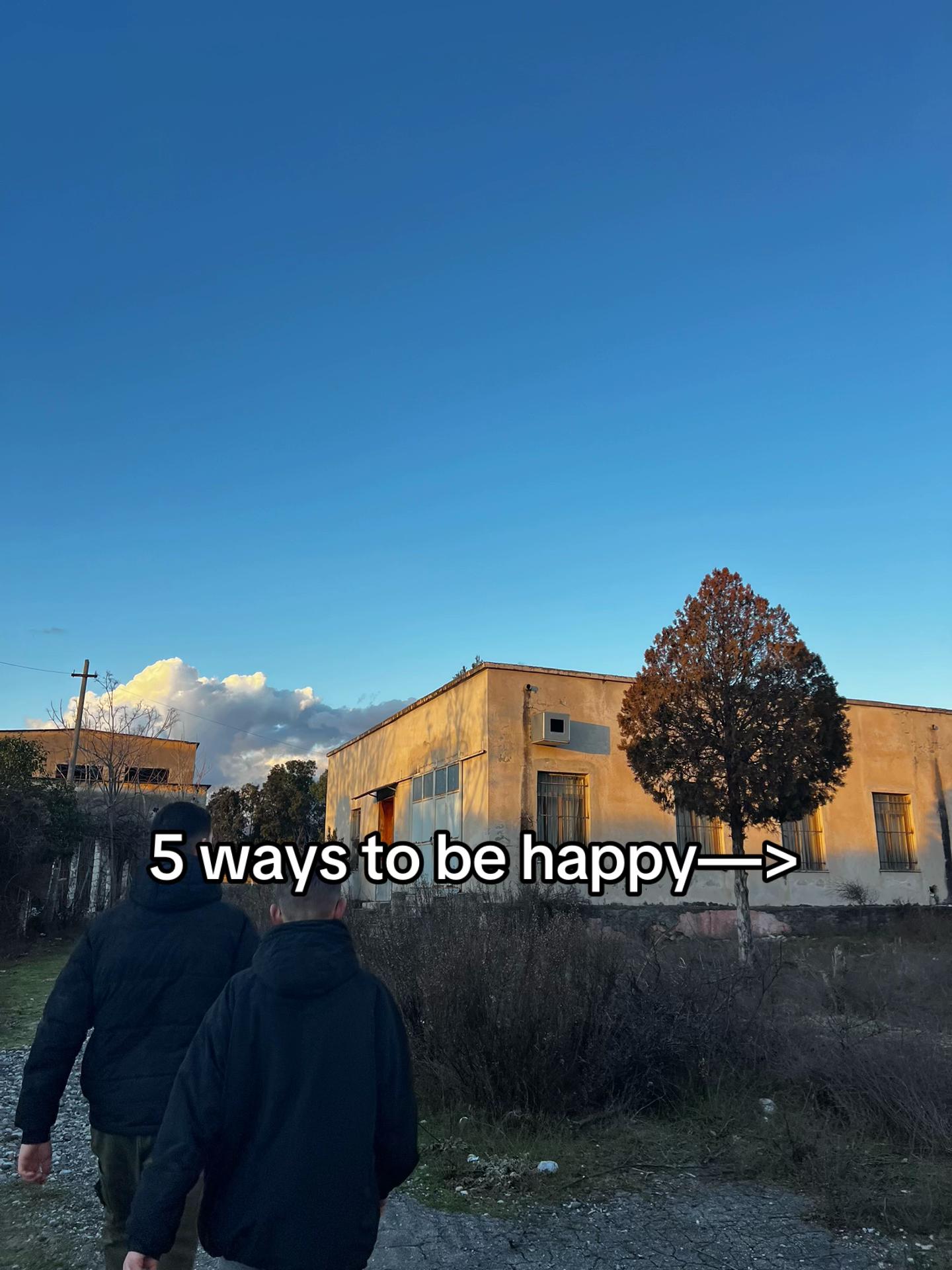 @M🐺