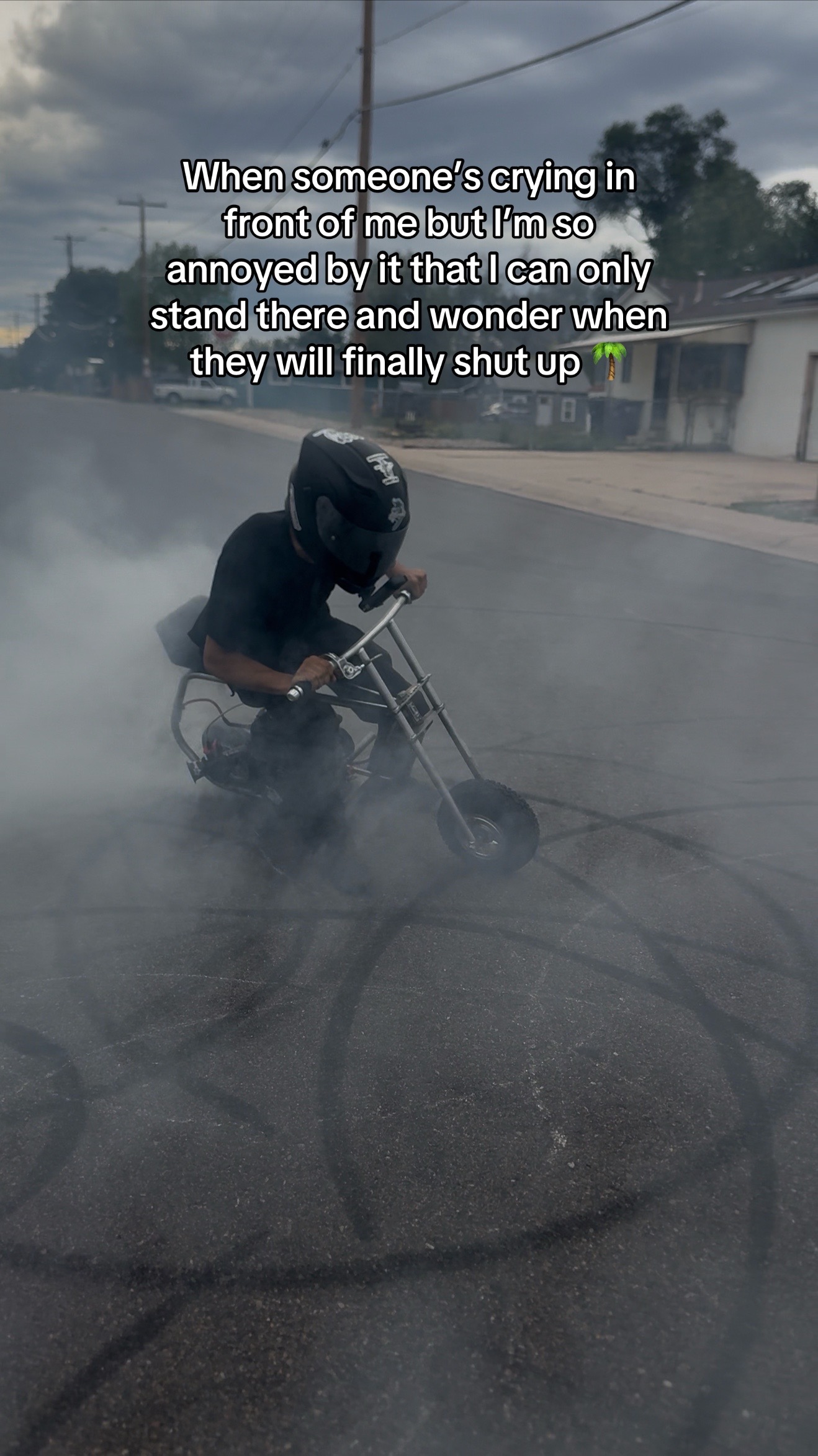 @zoomeez_