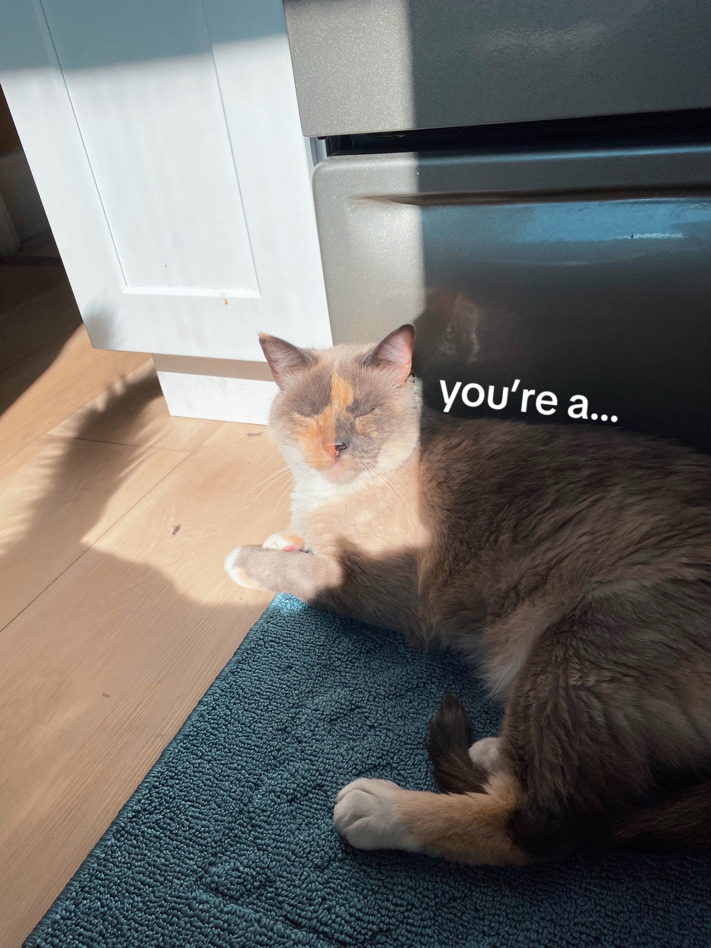 @weaponized yuri