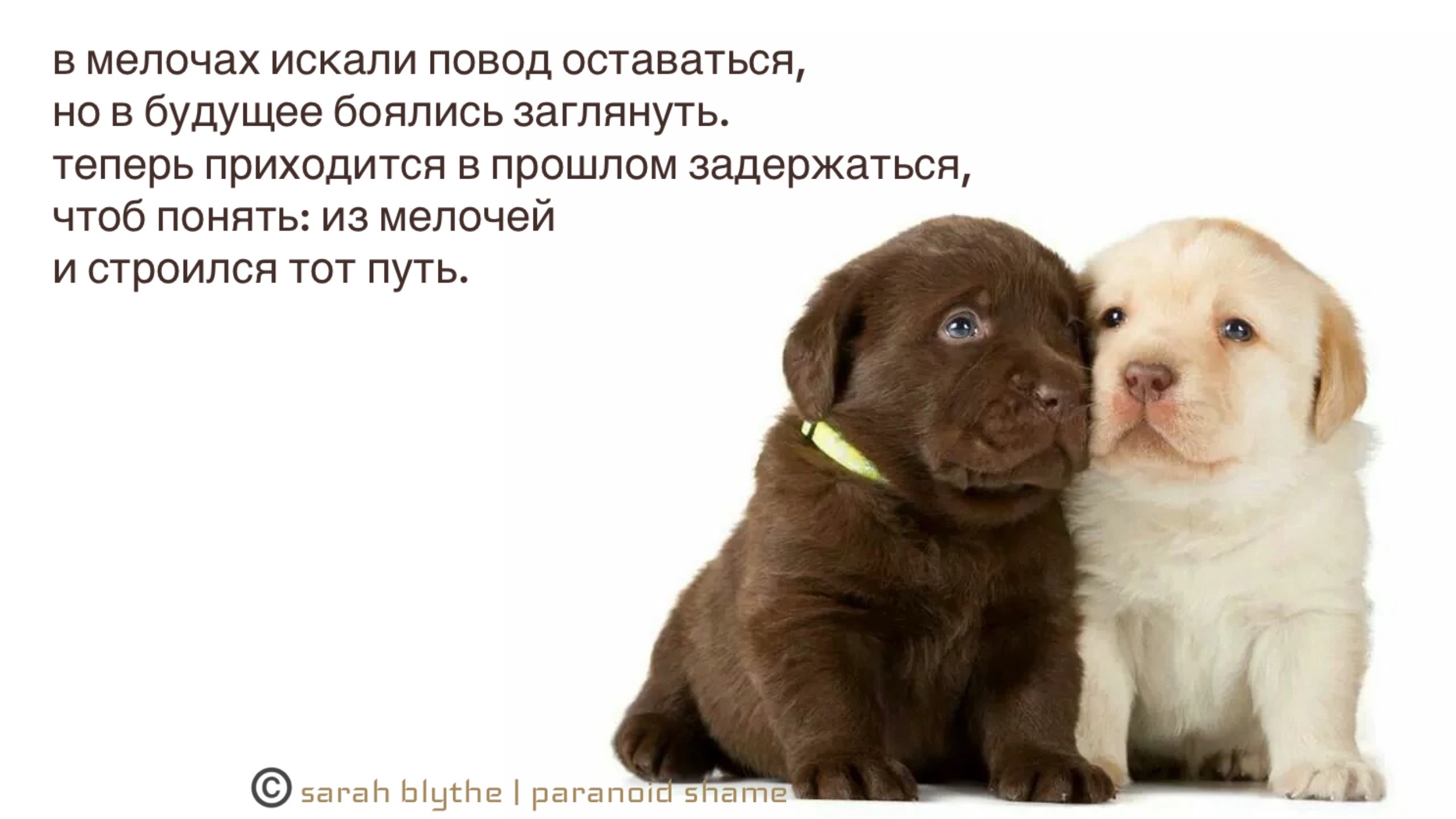 @𝗉𝖺𝗋𝖺𝗇𝗈𝗂𝖽 𝗌𝗁𝖺𝗆𝖾