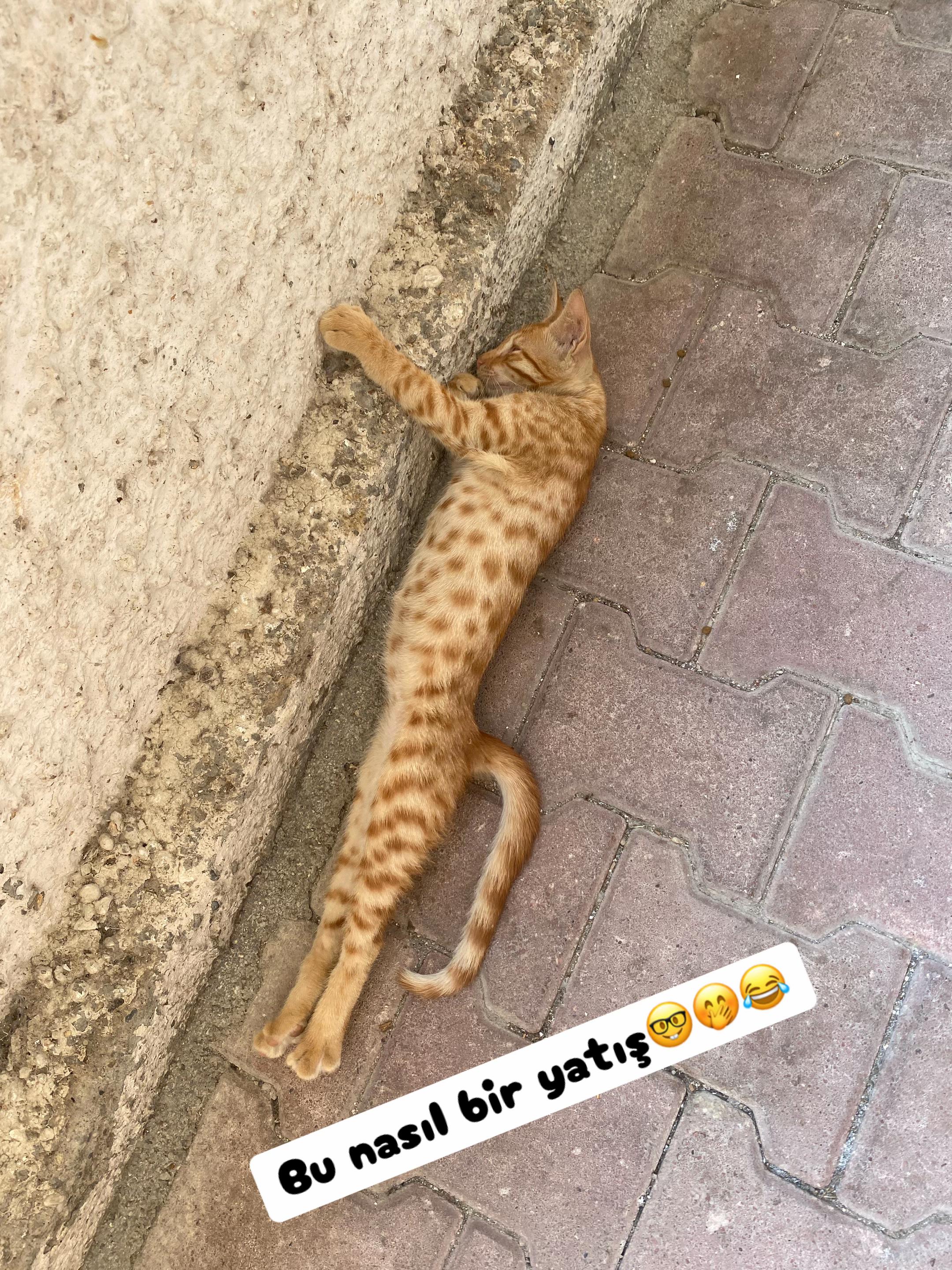 @Şapkalı Kadın