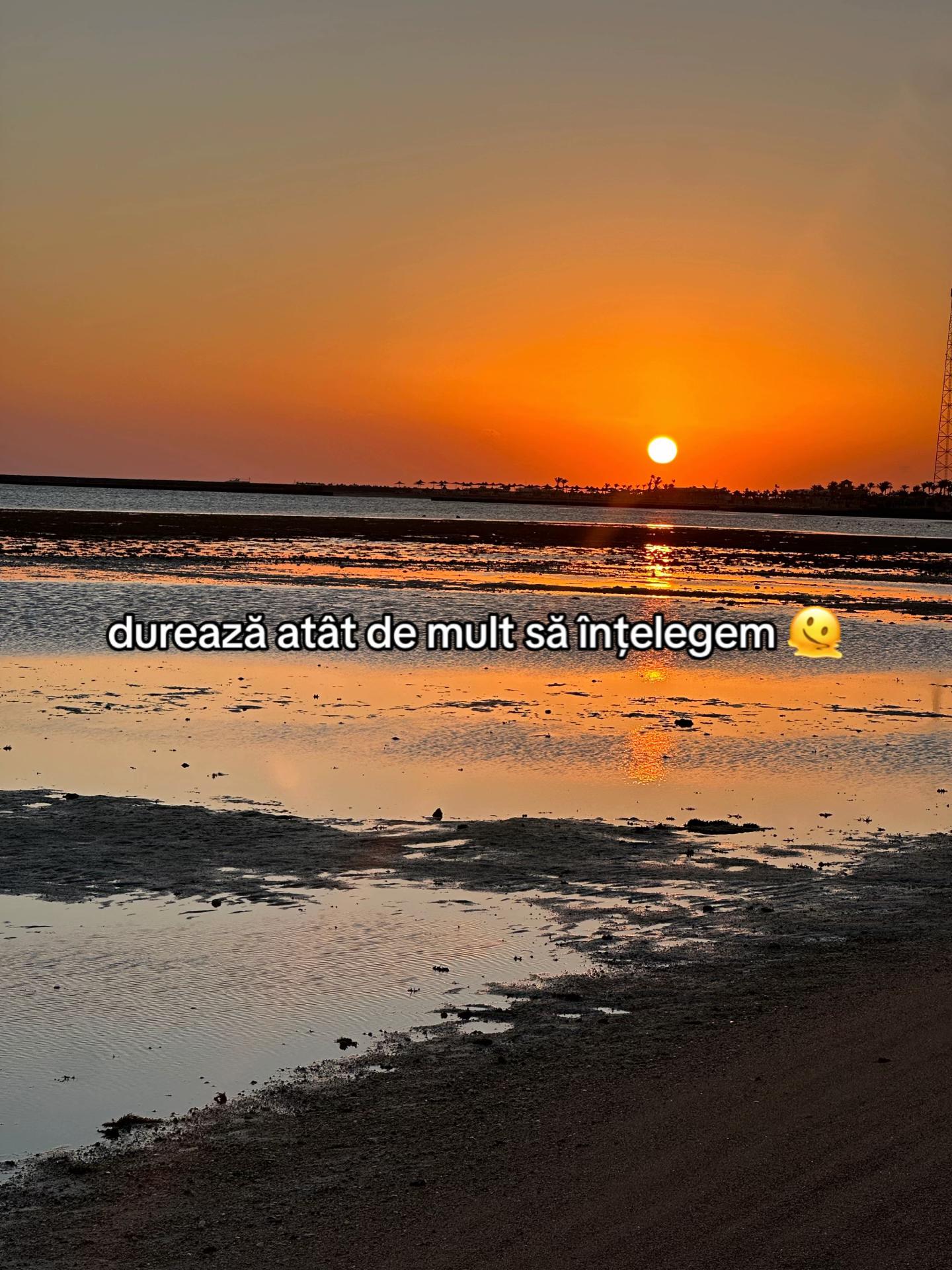 @C Ă T Ă L I N A 🐍