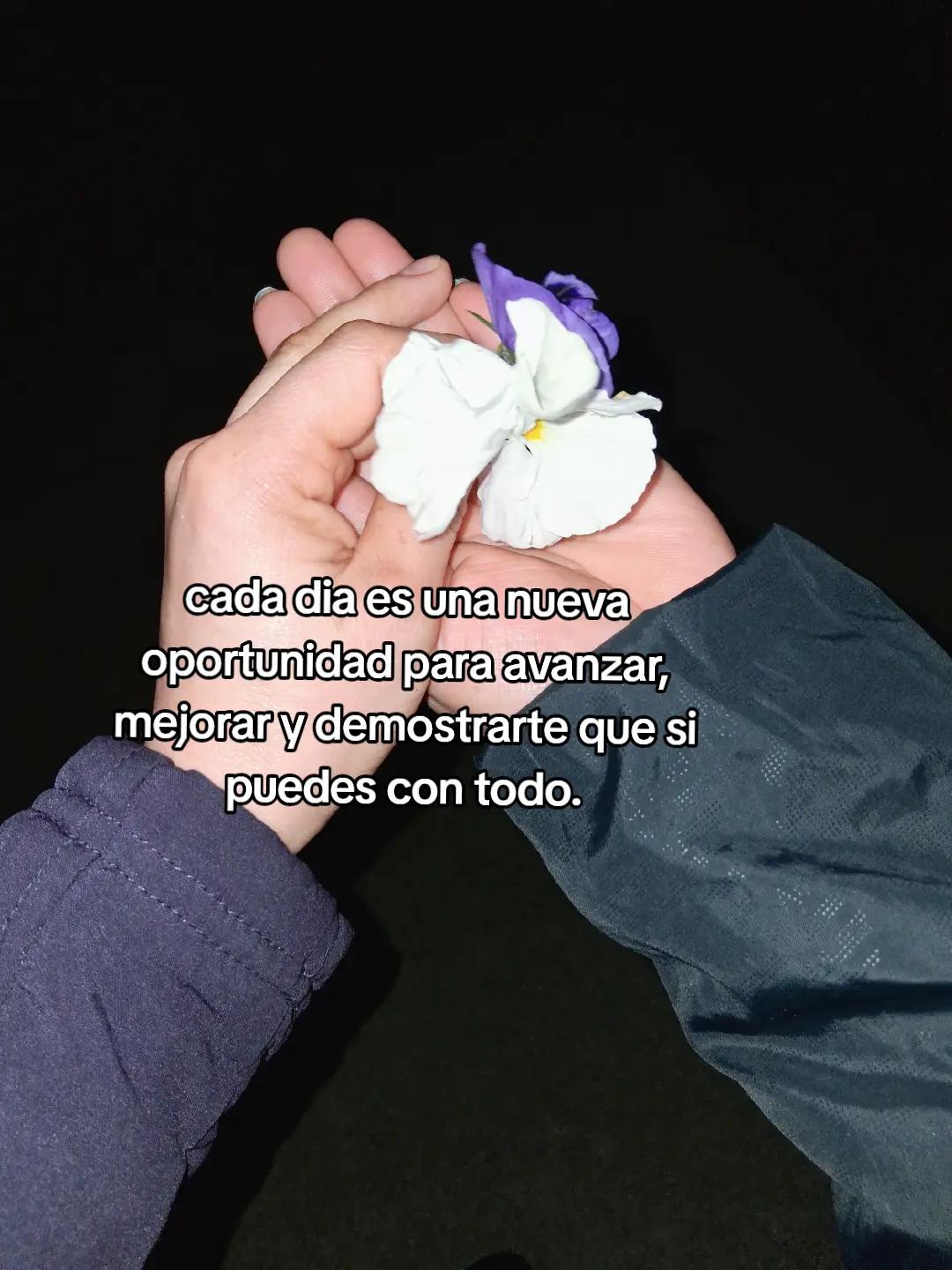 @mely.🥺