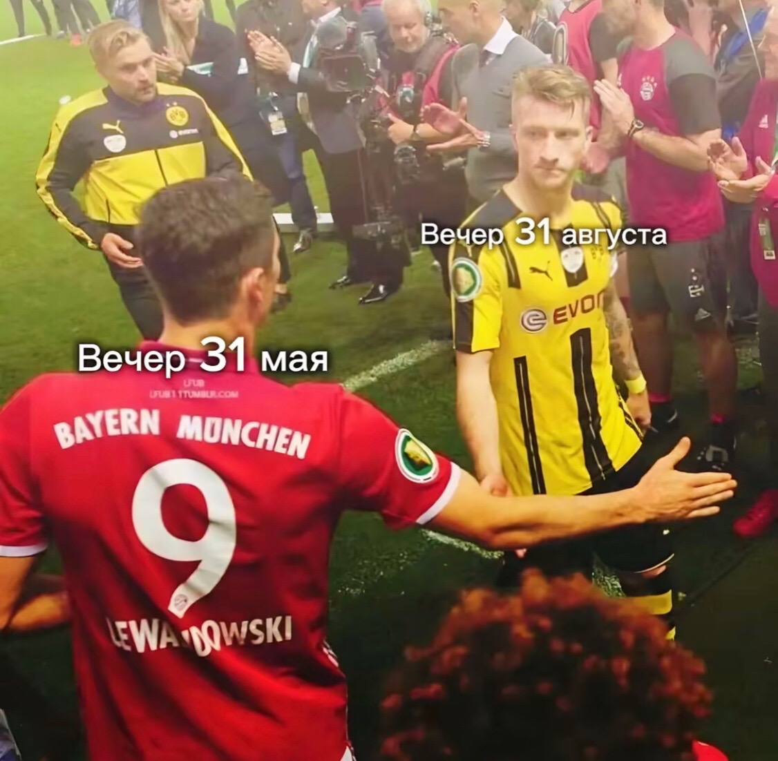 @DOKTOR_pipi🏴
