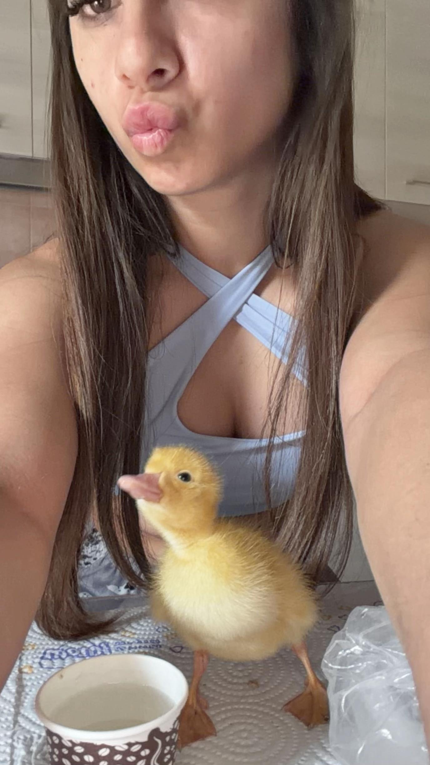@⭐️