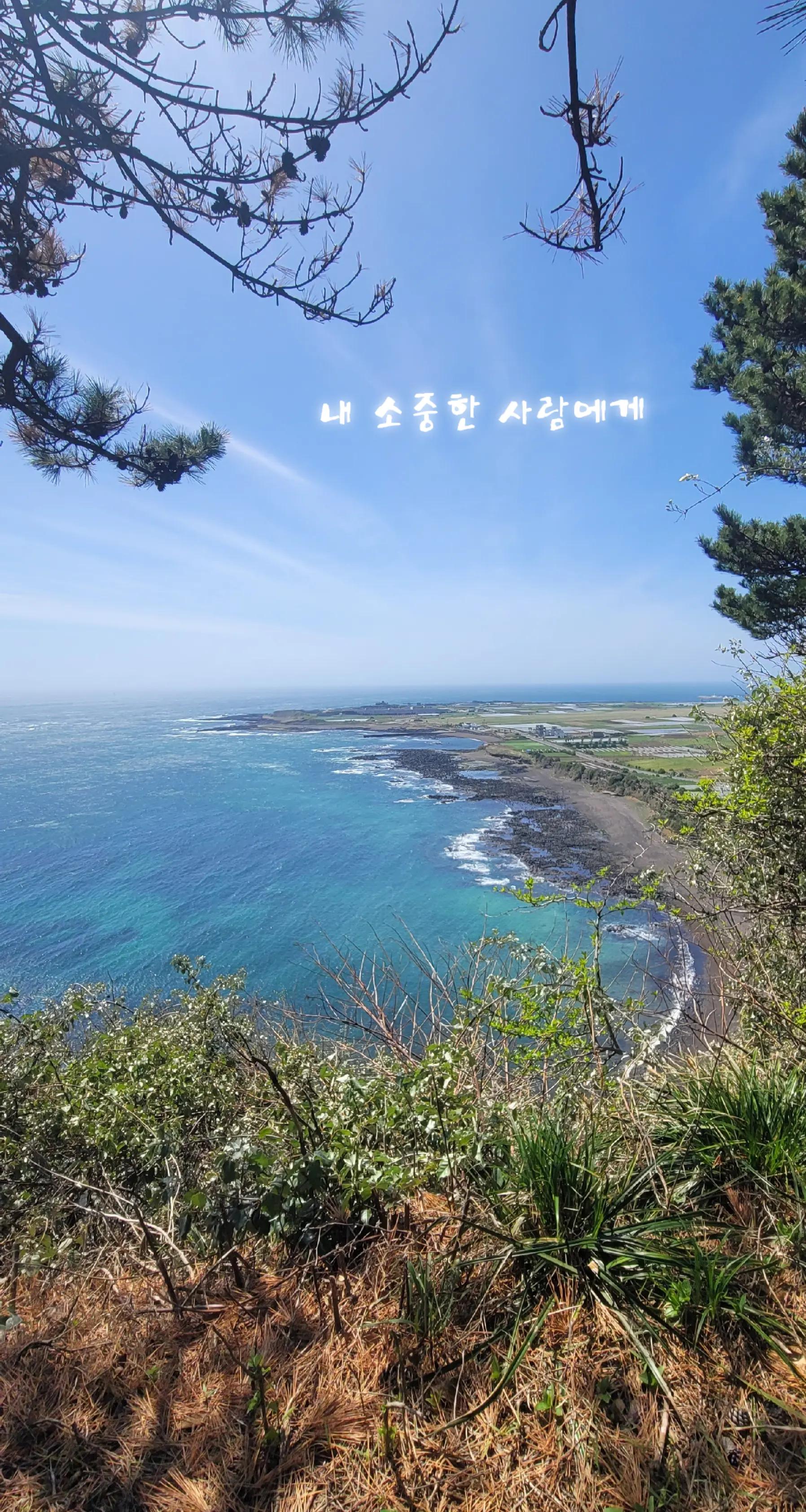 @[토박]할수있다
