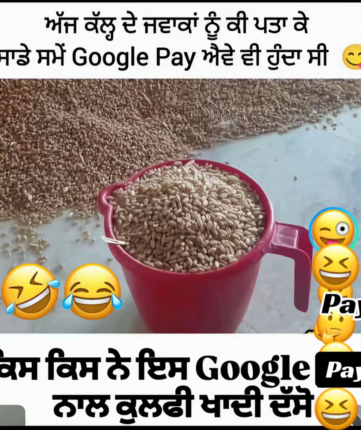 @ਡਿੰਪਲ ਰਾਏ ✅