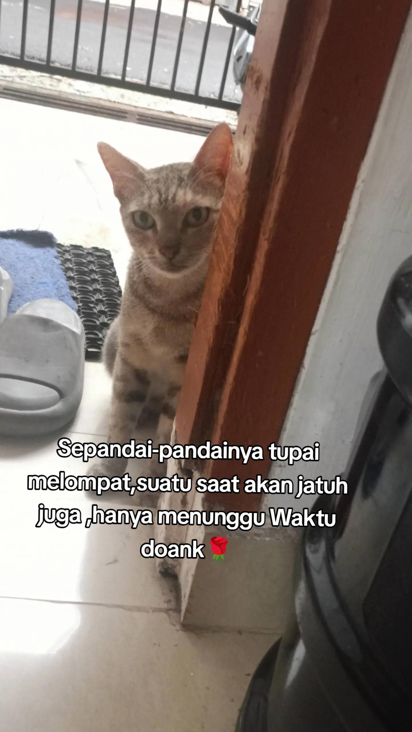 @ERIN SINAGA