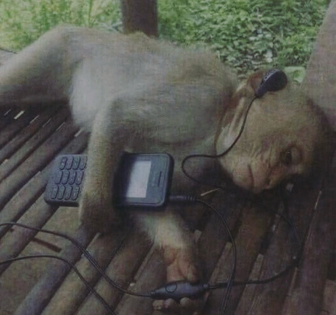 @𝑁𝑒𝑥𝑒𝑎ℎ❦