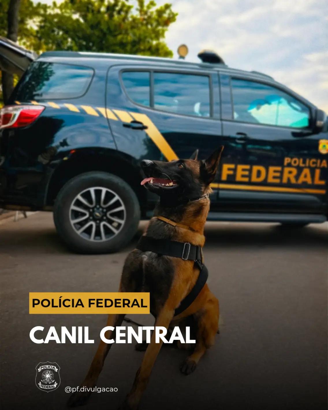 @Pol&iacute;cia Federal do ES