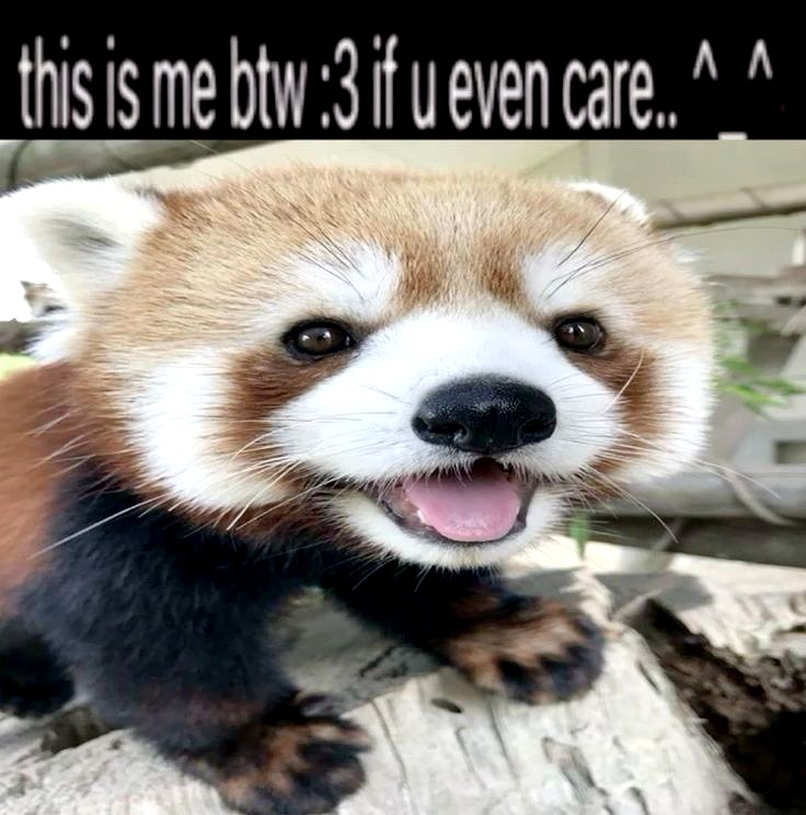 @𒉭ℑ𝐌𝐎𝐑𝐈ℑ𒉭