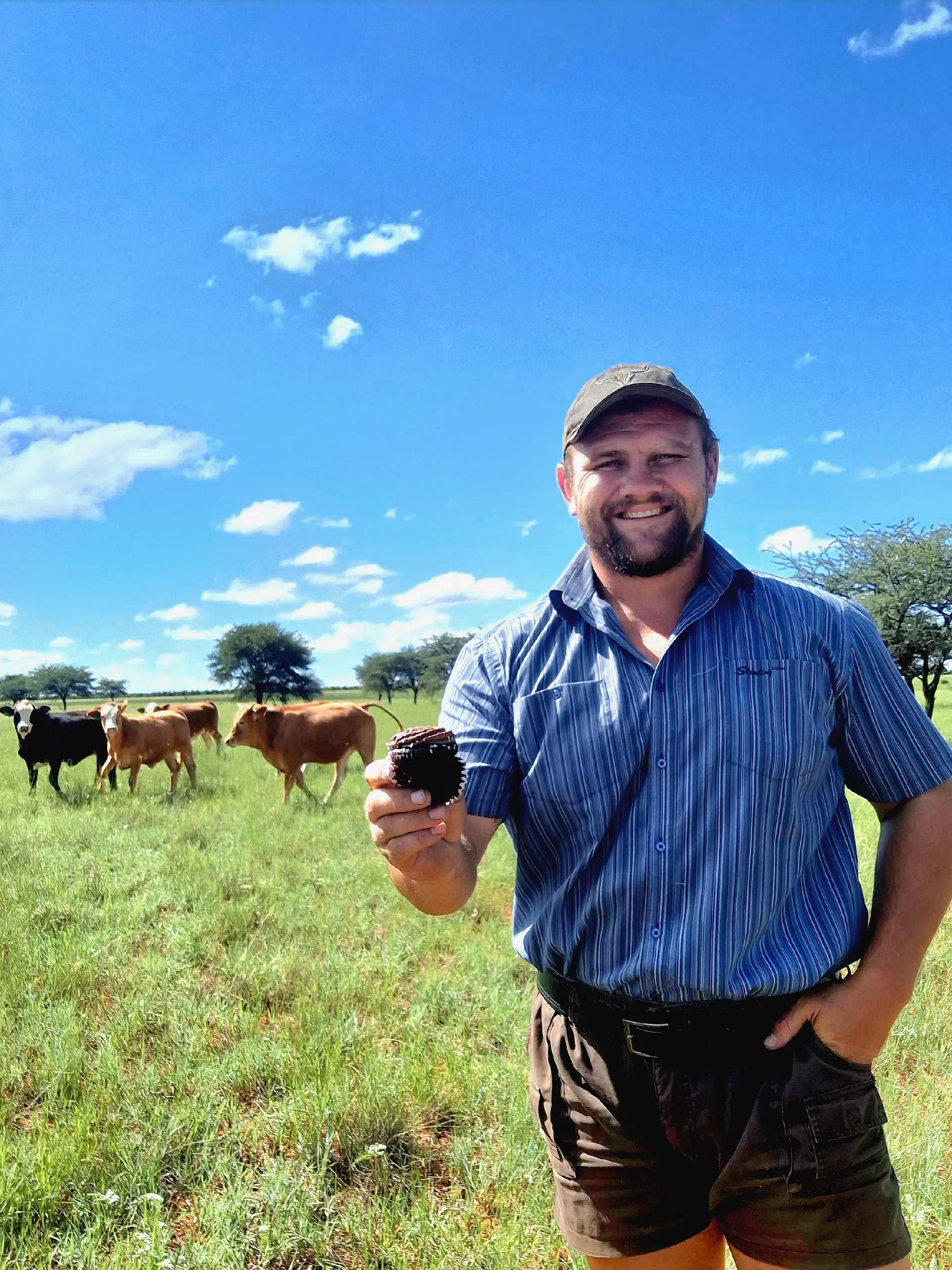 @Bees Strydom