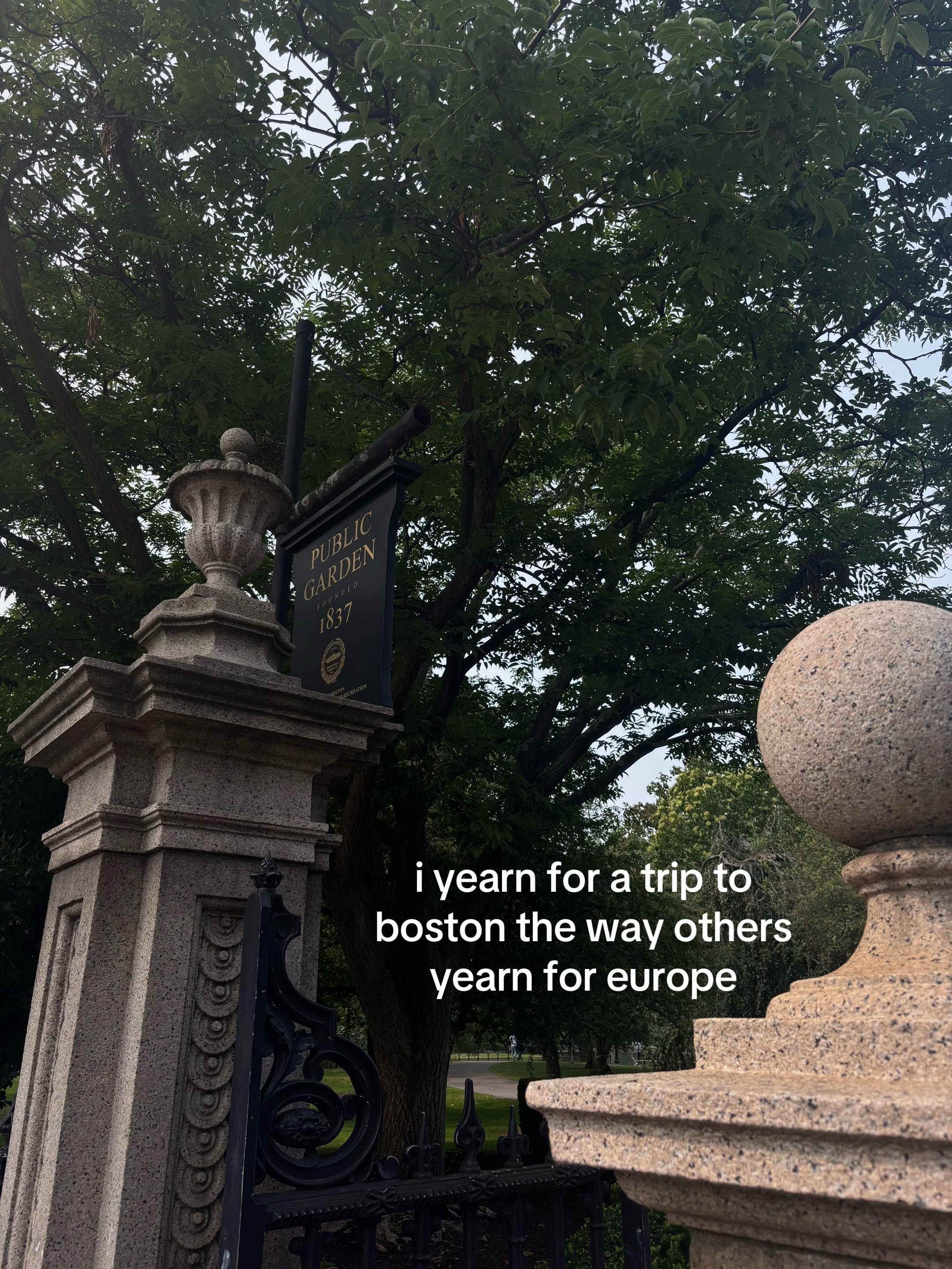 @auden 🦆