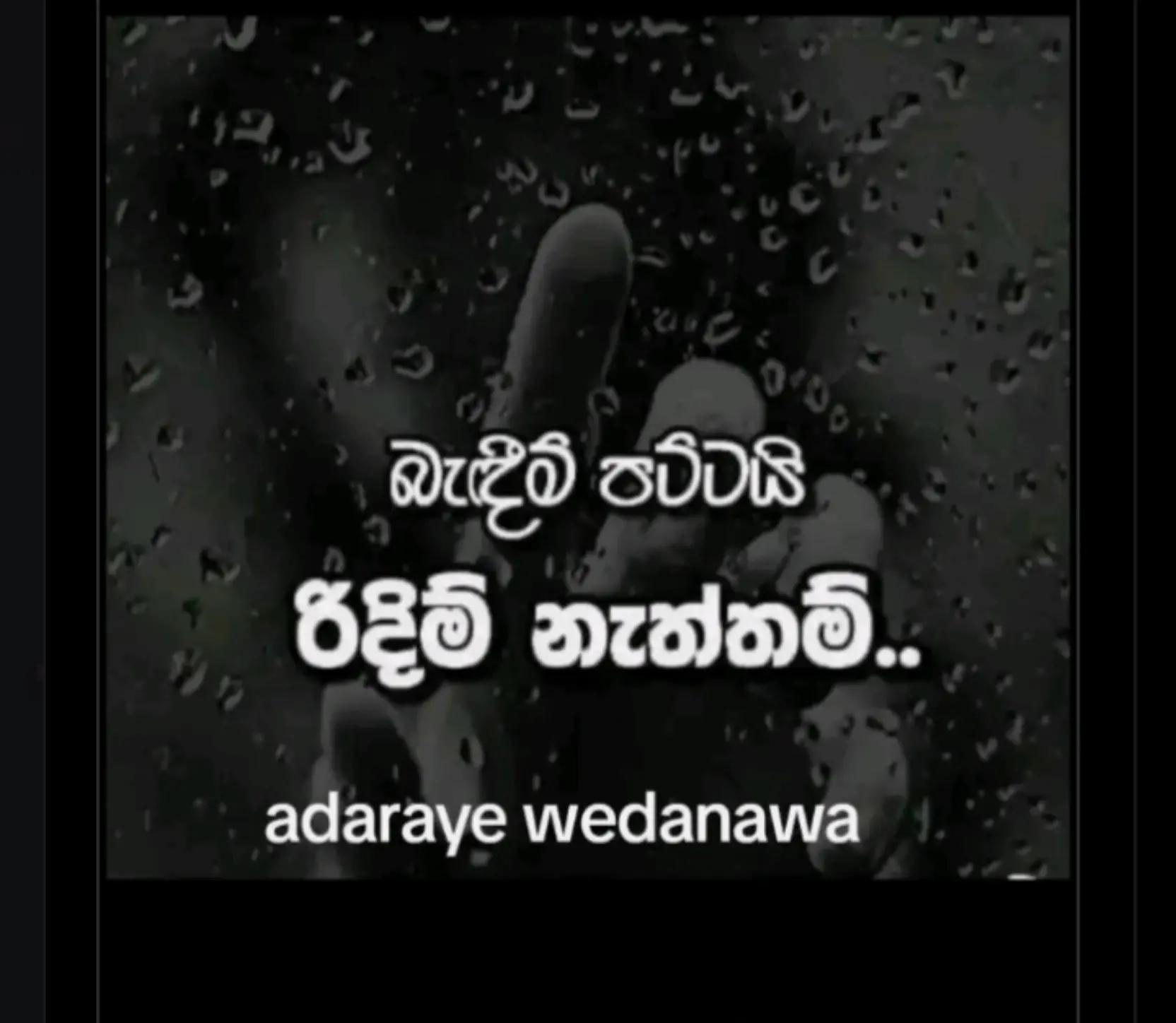 @Ramanayaka Ramanayaka