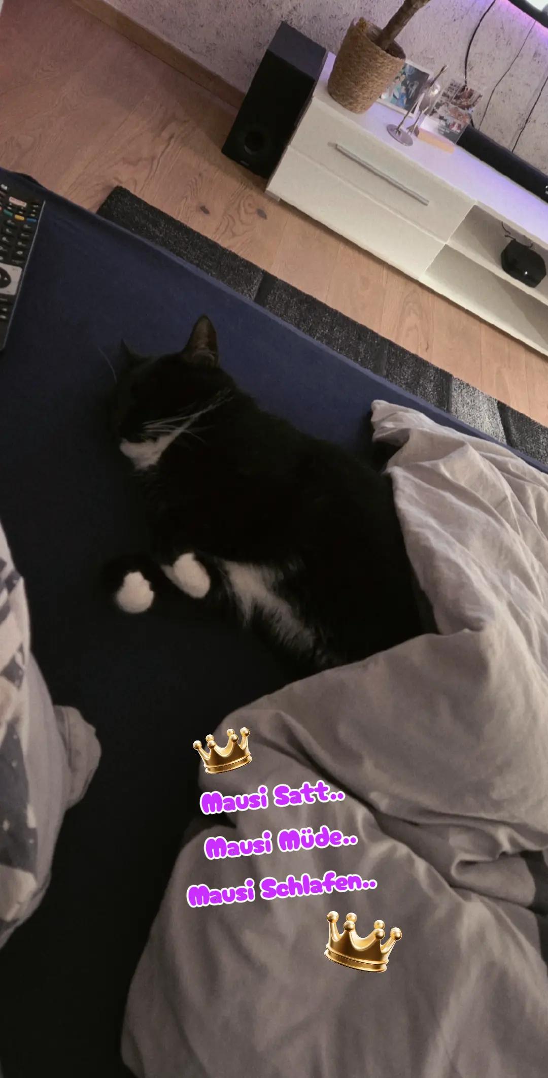 @👑😼Malia Die Königin😼👑