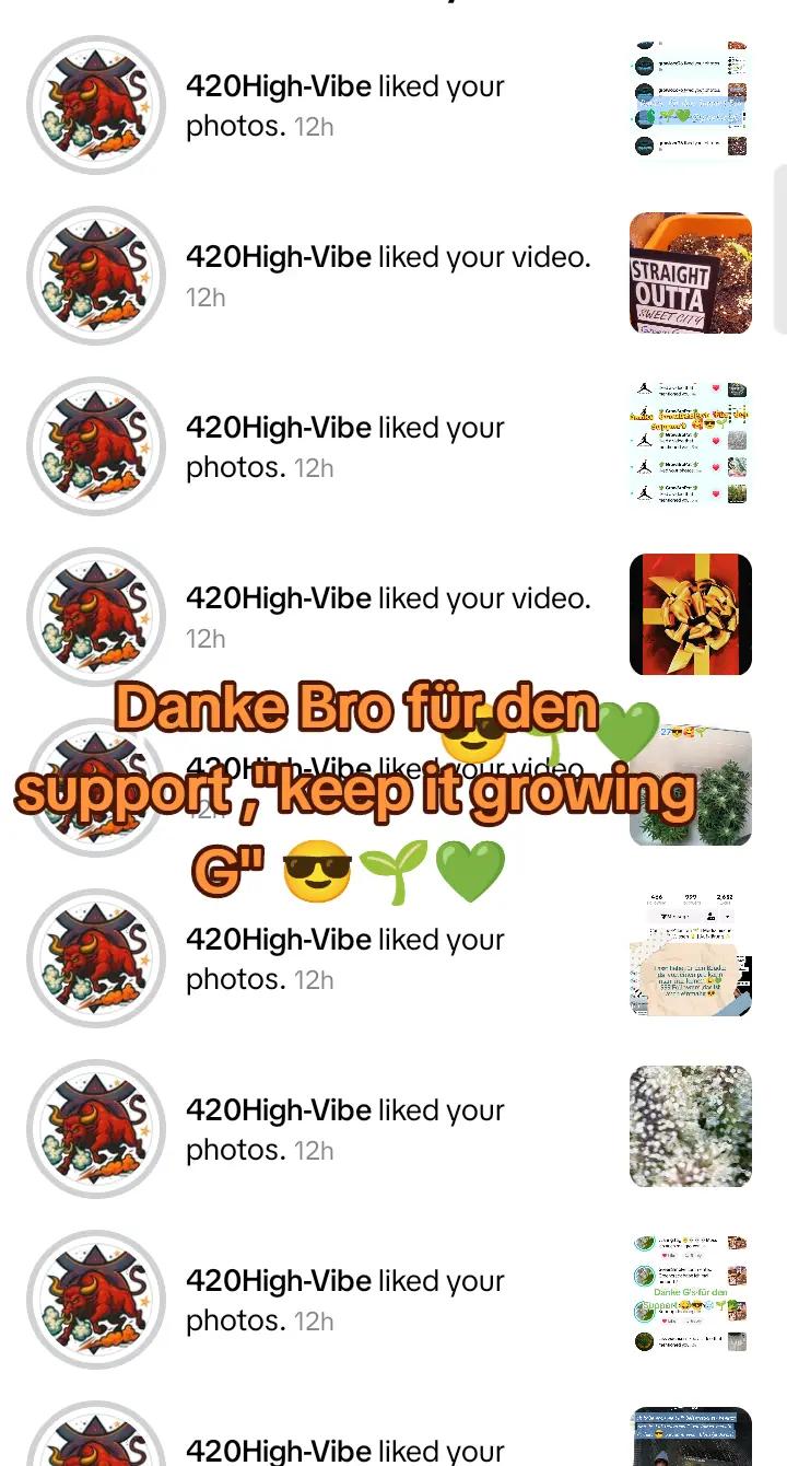 @420_Kaktus.Gurke_69