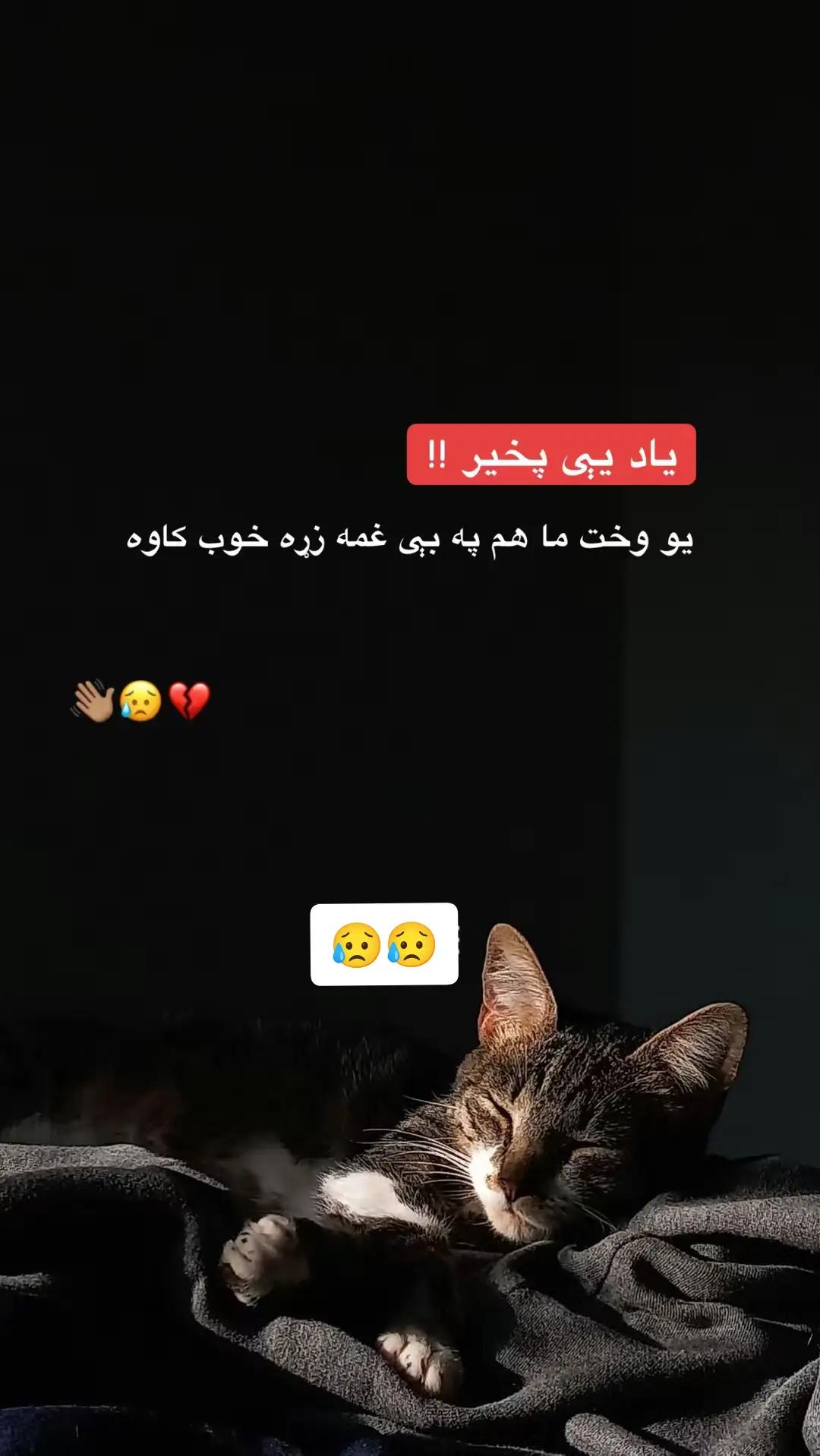 @🌛❤️خوګیاڼیوال 👑🌜