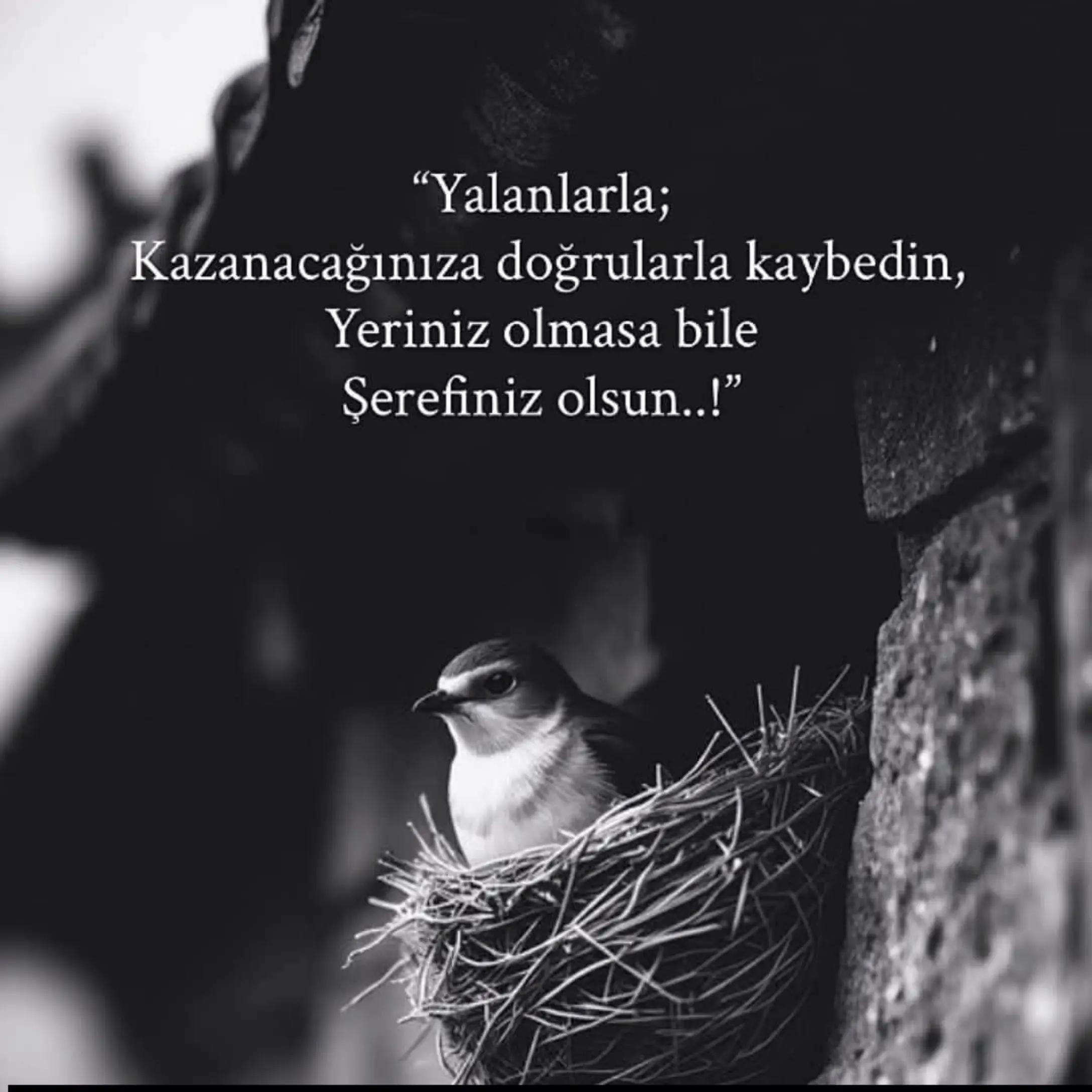 @kale_dayı