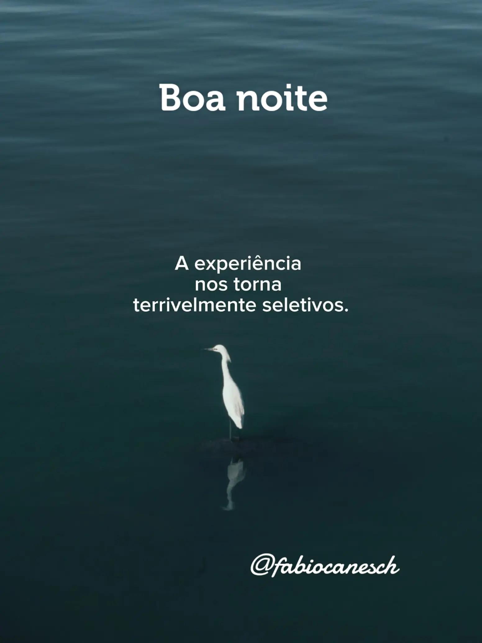 @F&aacute;bio caneschi de Oliveira