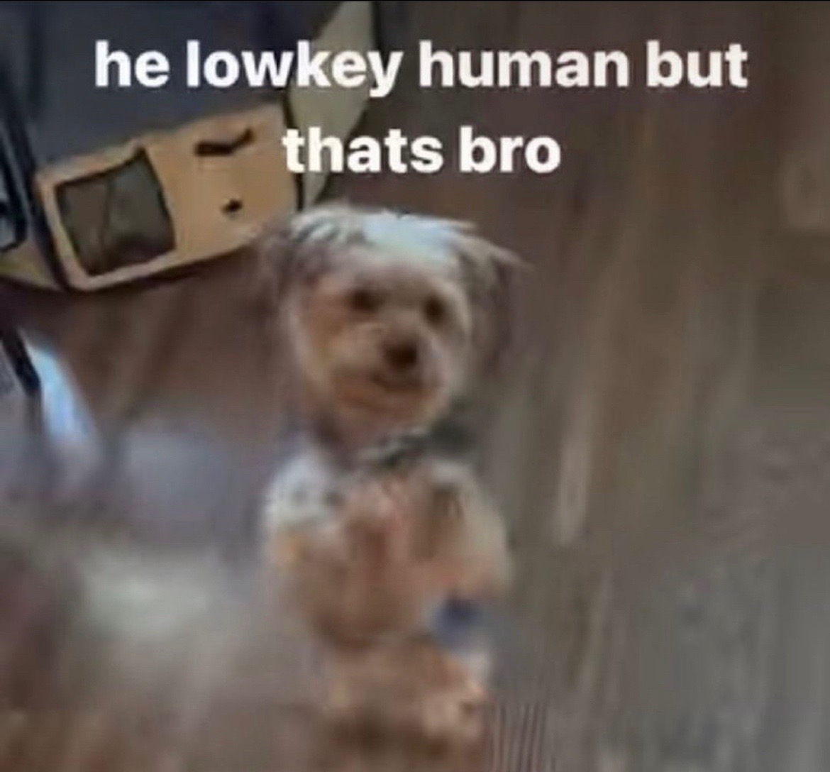 @♾