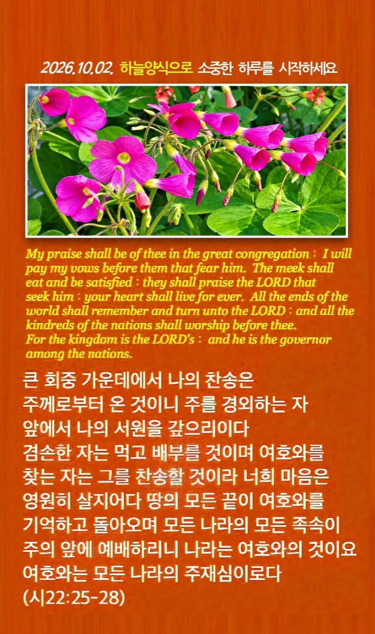 @피켓전도 김종일 목사
