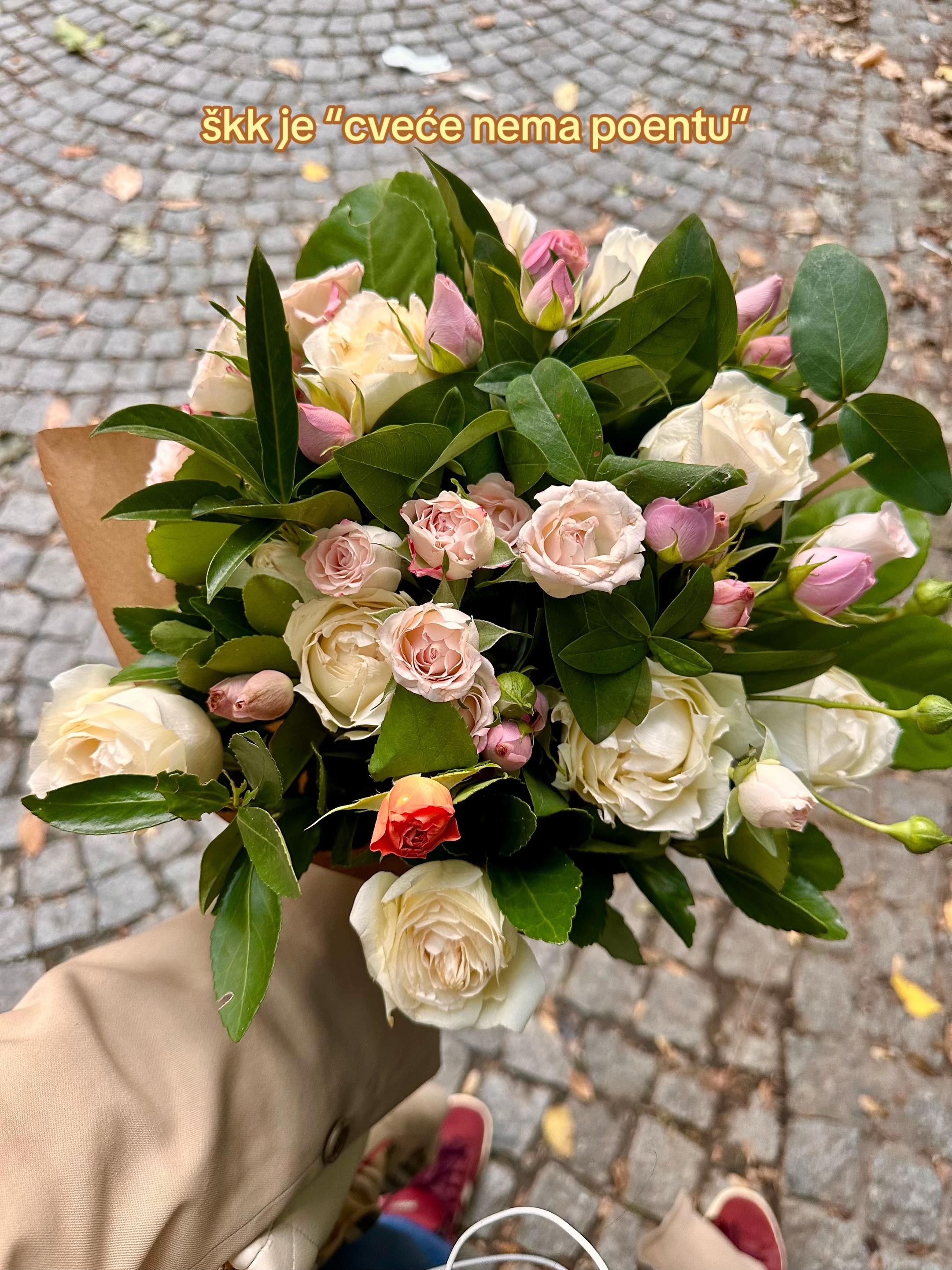 @Dunja 🫧🌸