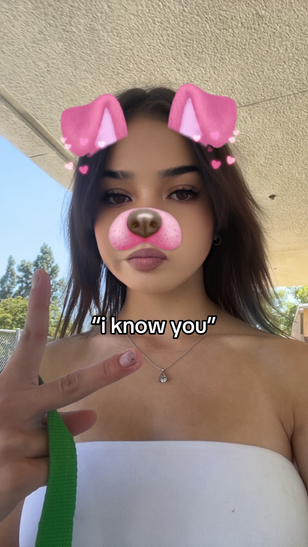 @user3719373919