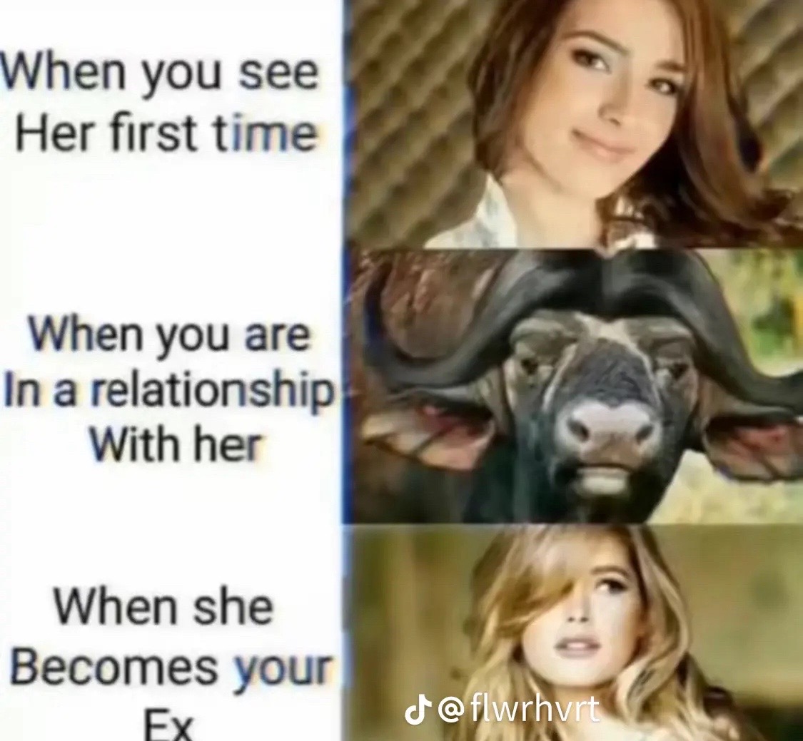 @e l l e
