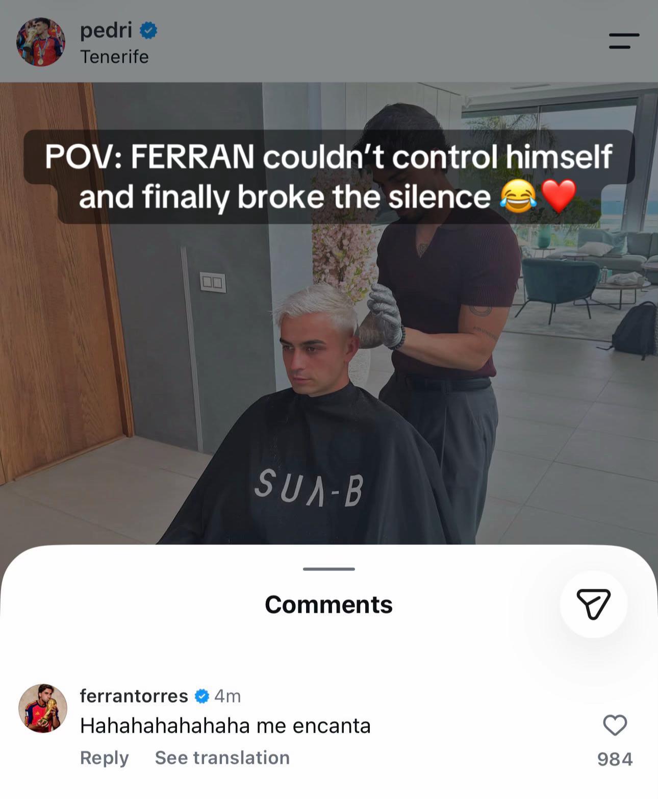 @ferripepi
