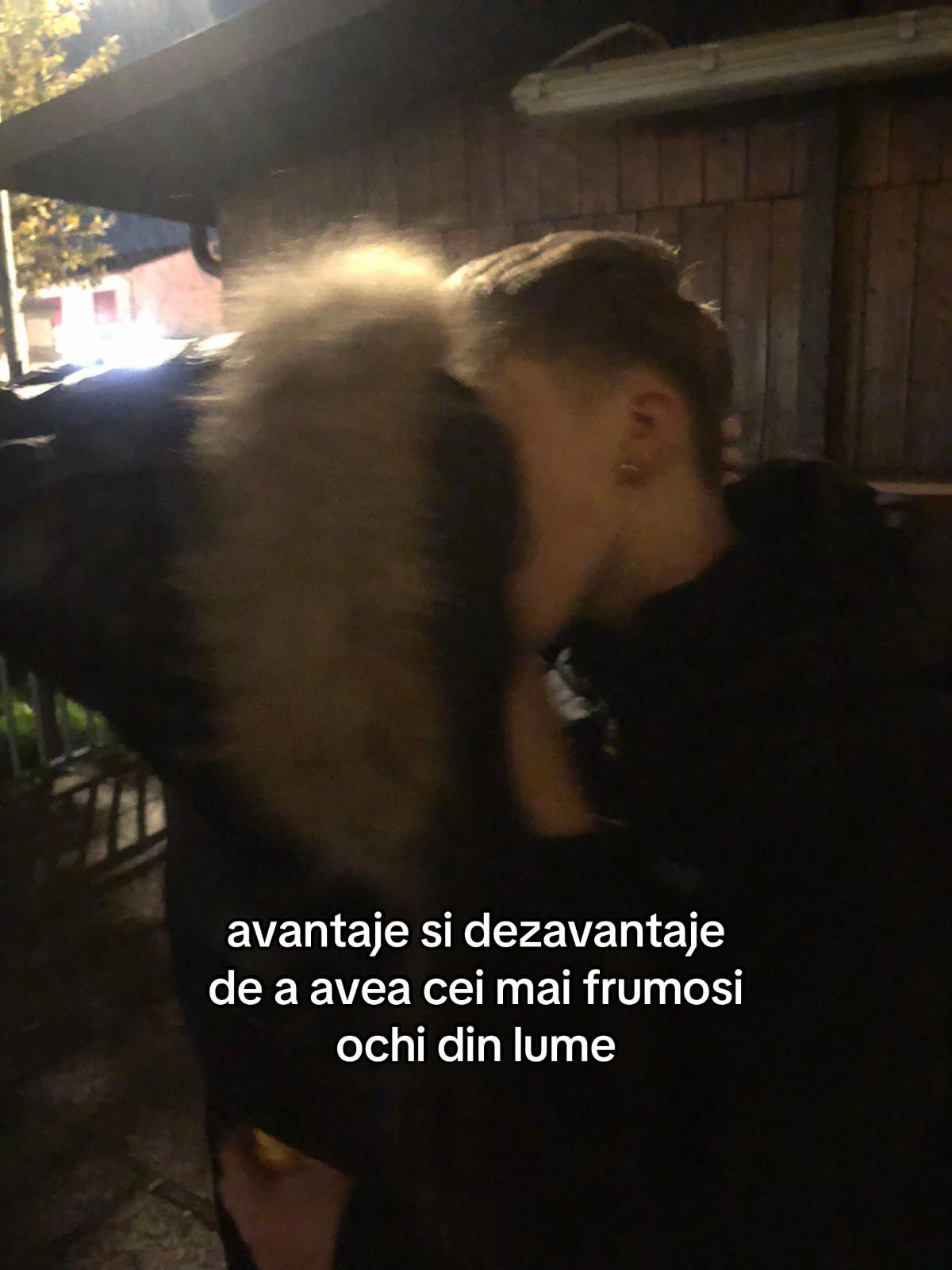 @lavibastea
