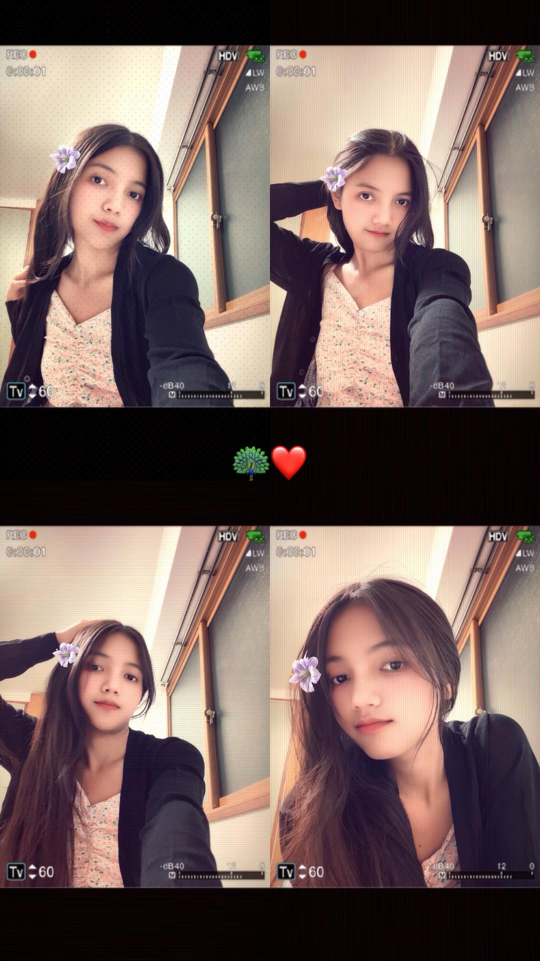 @🦚❤️