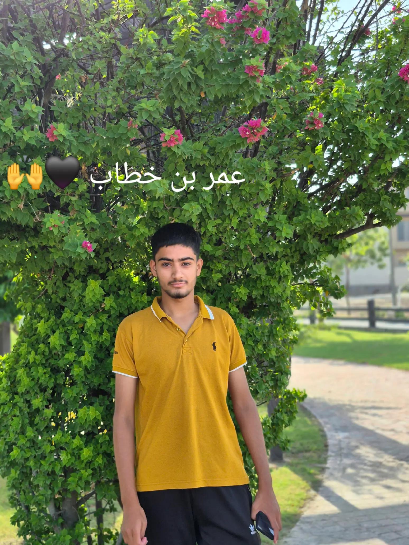 @🏴☠️ حسان بادشاہ 🏴☠️