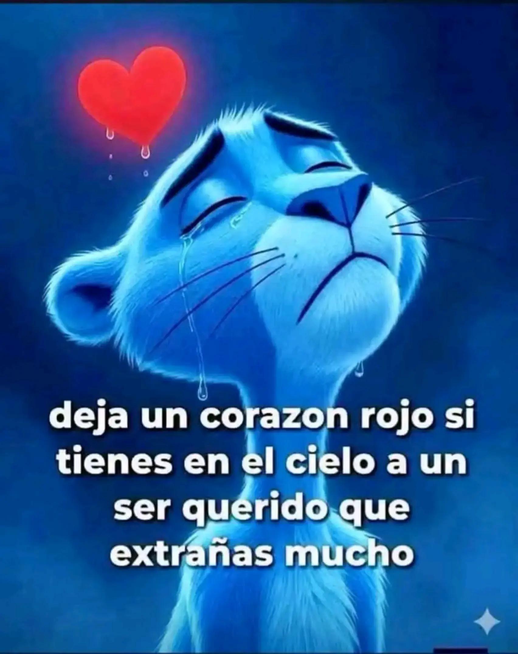 @🇺🇸👑 DE PRINCESA.👑