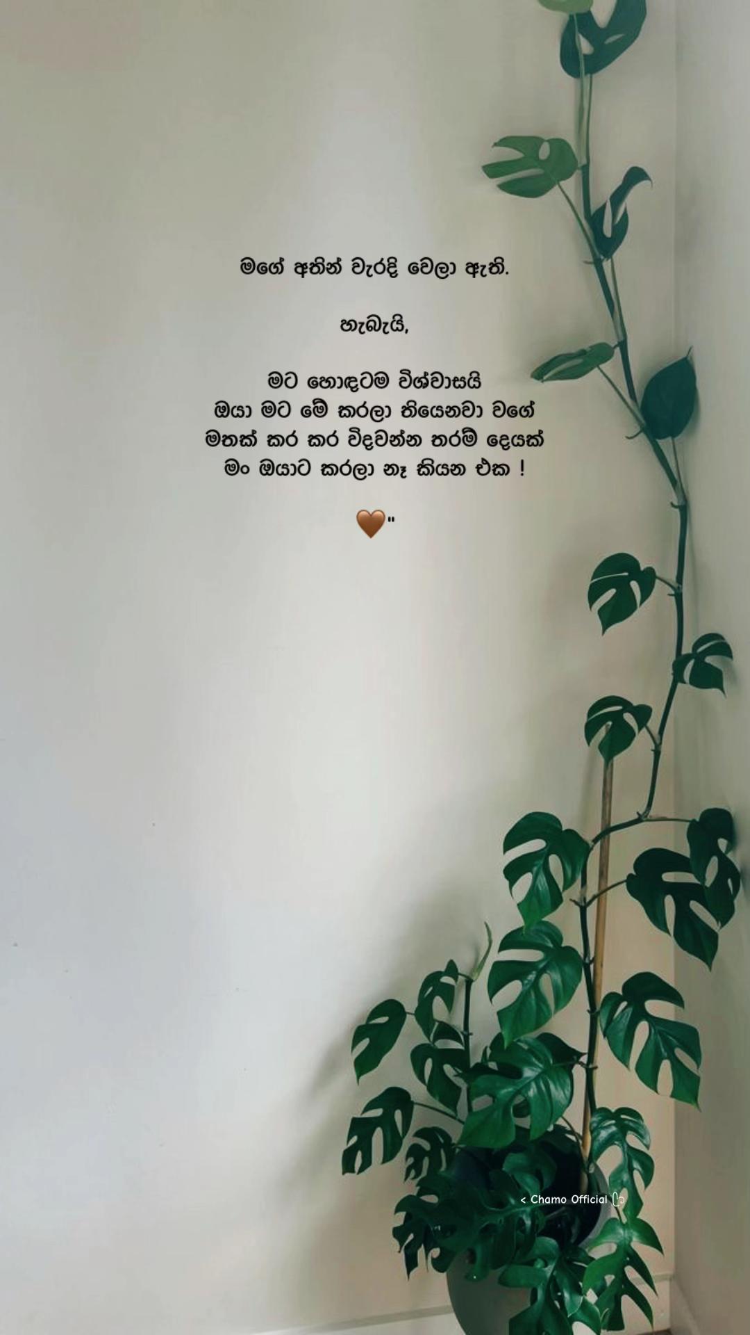 @< 𝐂𝐡𝐚𝐦𝐨 ᥫ᭡