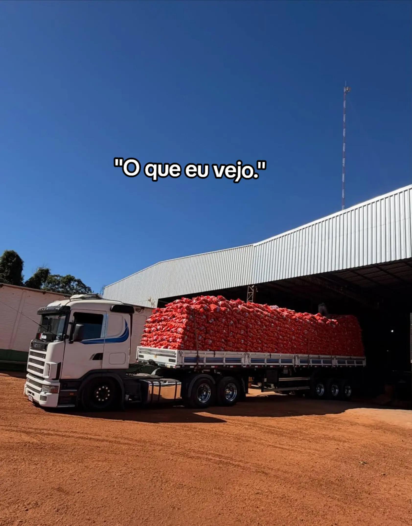 @Vitor.GBN13AM
