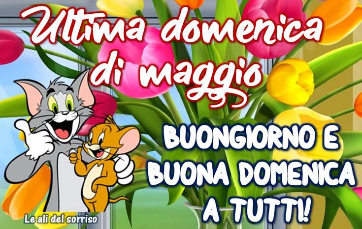 @IL FALCO DELLA NOTTE