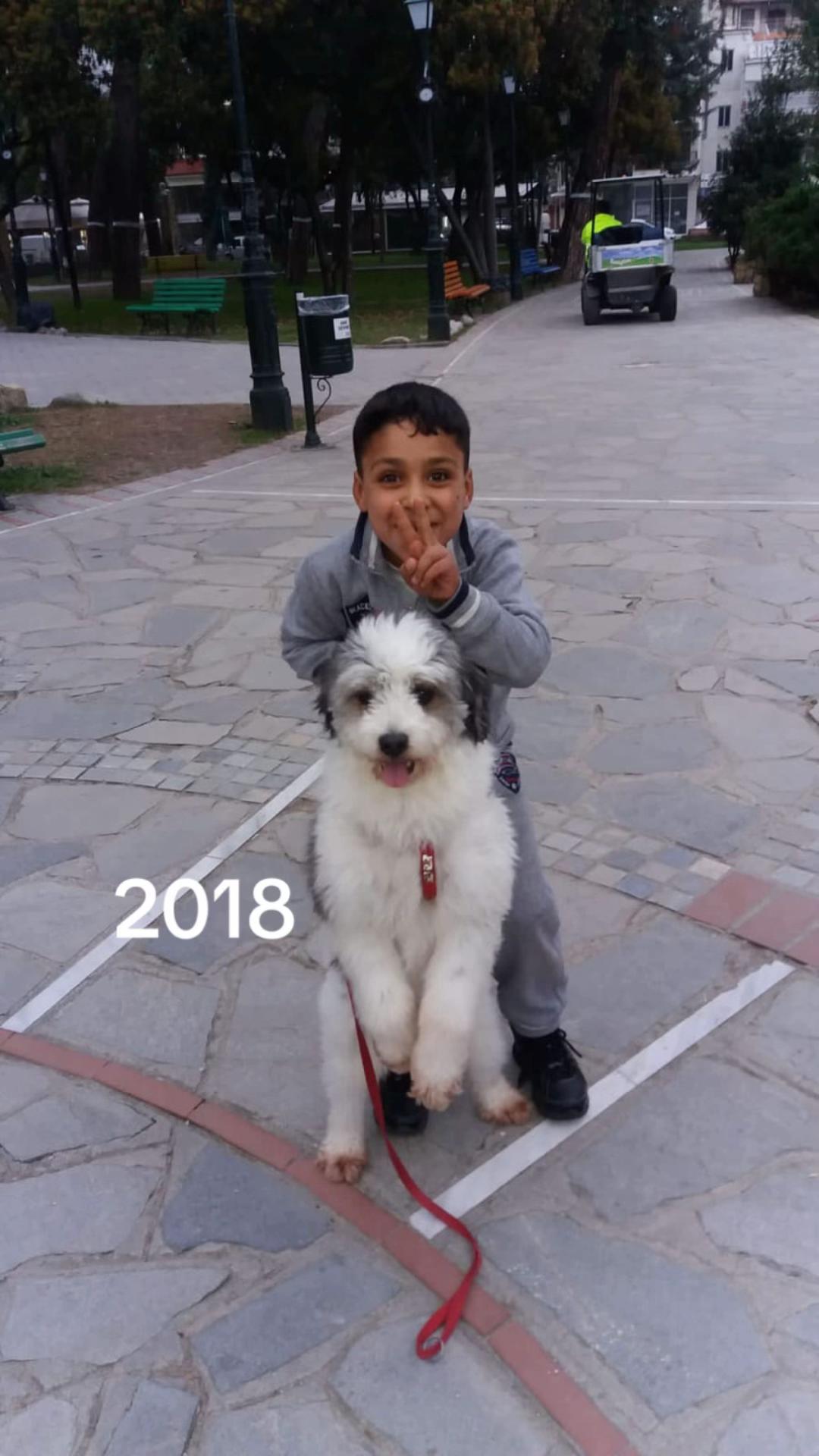 @🥷