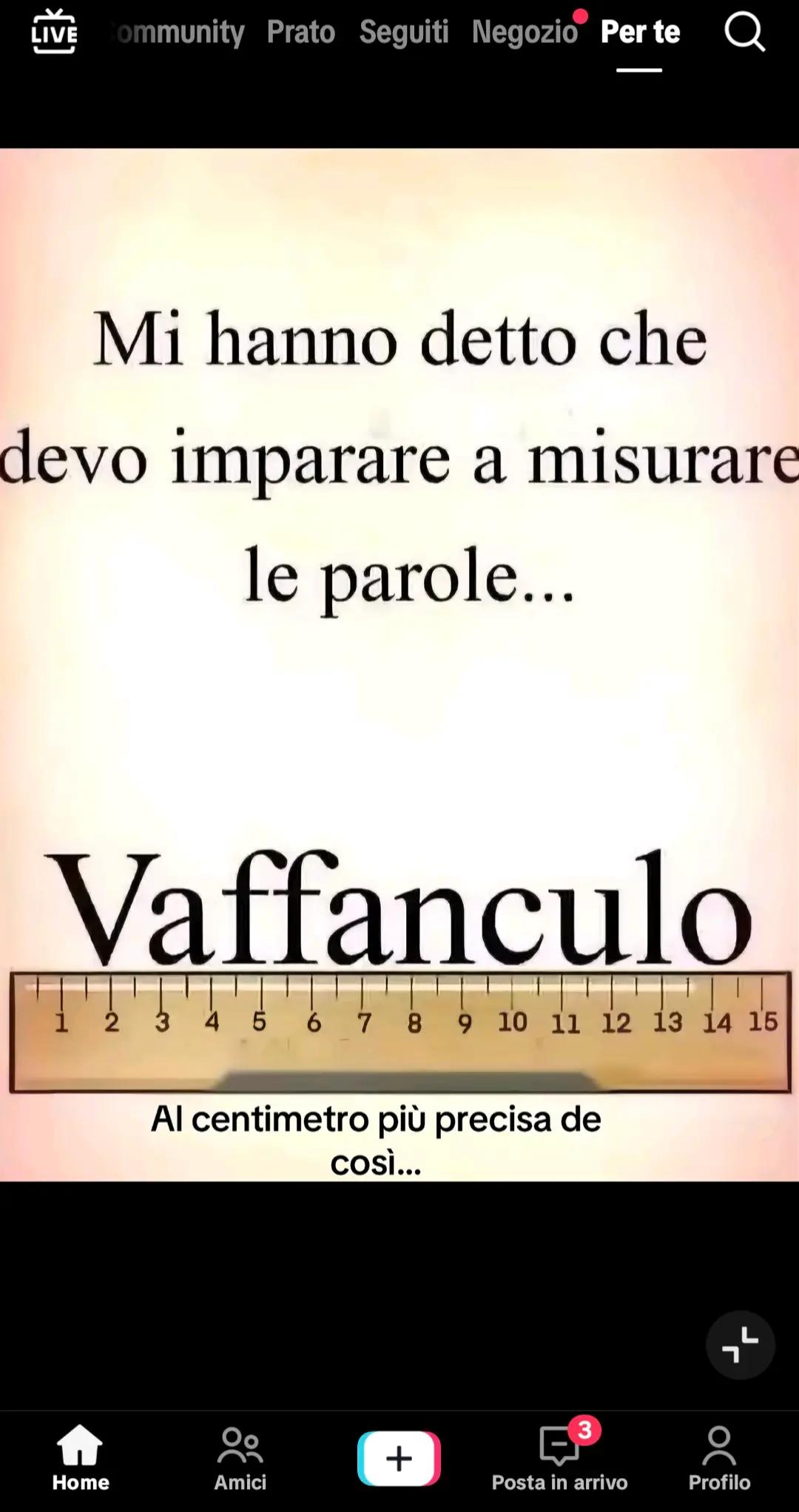 @Vanessa Gotti